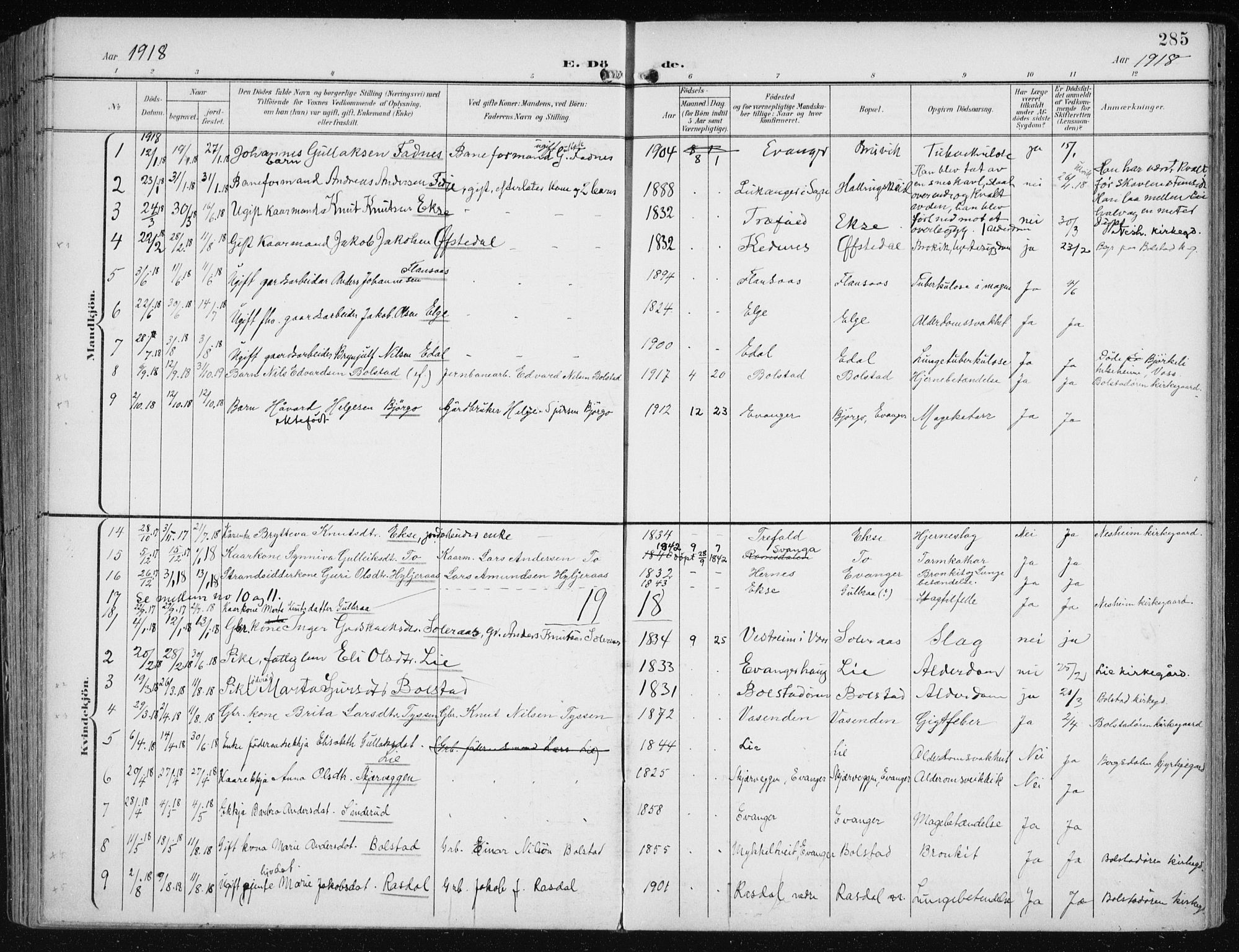 Evanger sokneprestembete, SAB/A-99924: Parish register (official) no. A  3, 1900-1930, p. 285