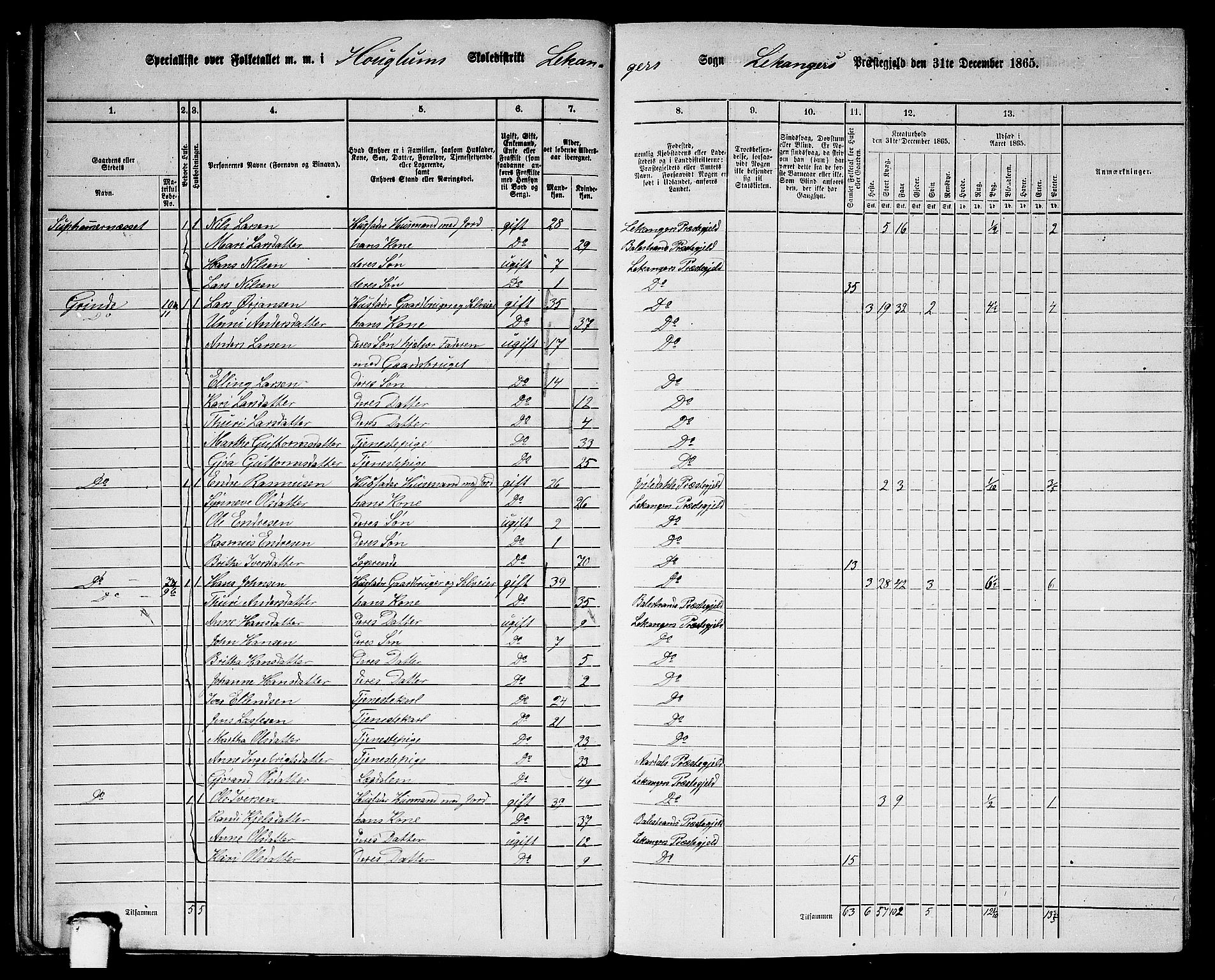 RA, 1865 census for Leikanger, 1865, p. 22