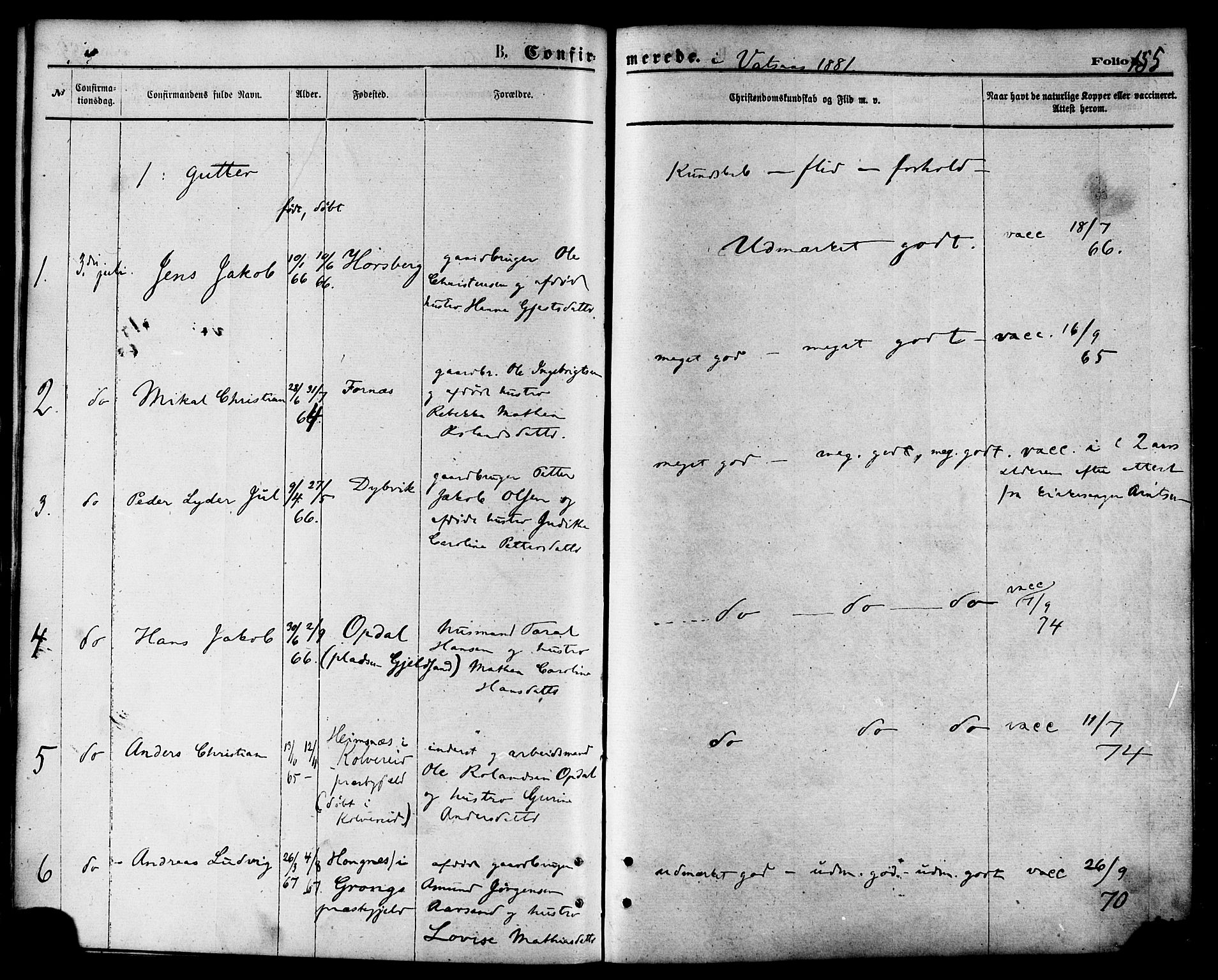 Ministerialprotokoller, klokkerbøker og fødselsregistre - Nordland, AV/SAT-A-1459/810/L0148: Parish register (official) no. 810A09 /1, 1874-1884, p. 155