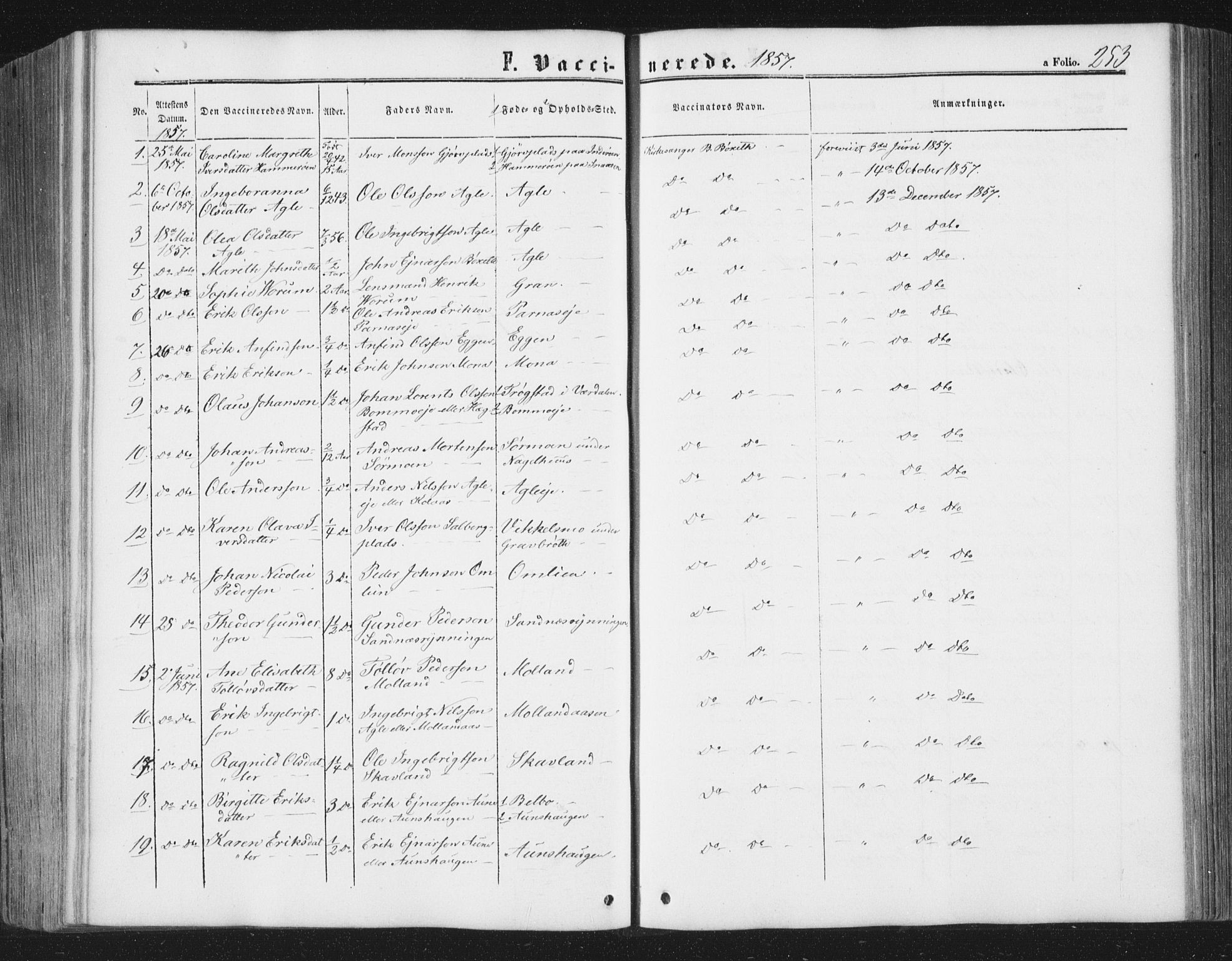 Ministerialprotokoller, klokkerbøker og fødselsregistre - Nord-Trøndelag, SAT/A-1458/749/L0472: Parish register (official) no. 749A06, 1857-1873, p. 253