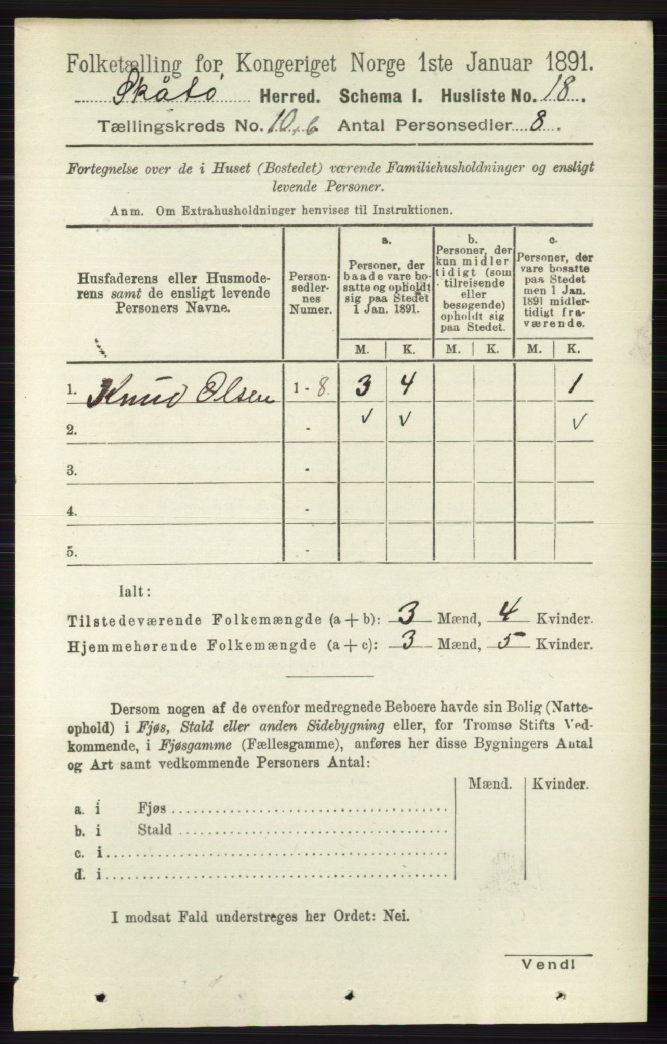 RA, 1891 census for 0815 Skåtøy, 1891, p. 4124