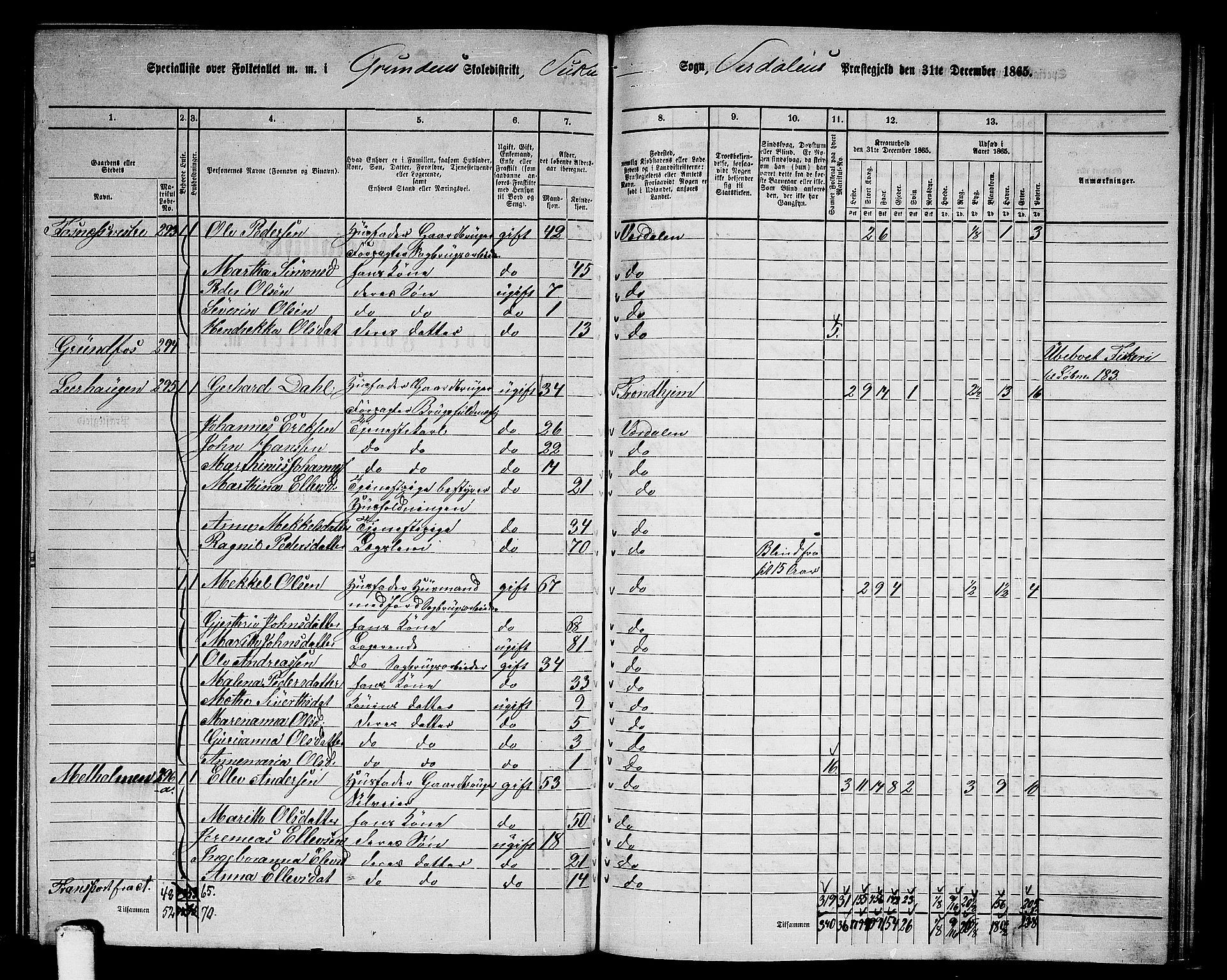 RA, 1865 census for Verdal, 1865, p. 230