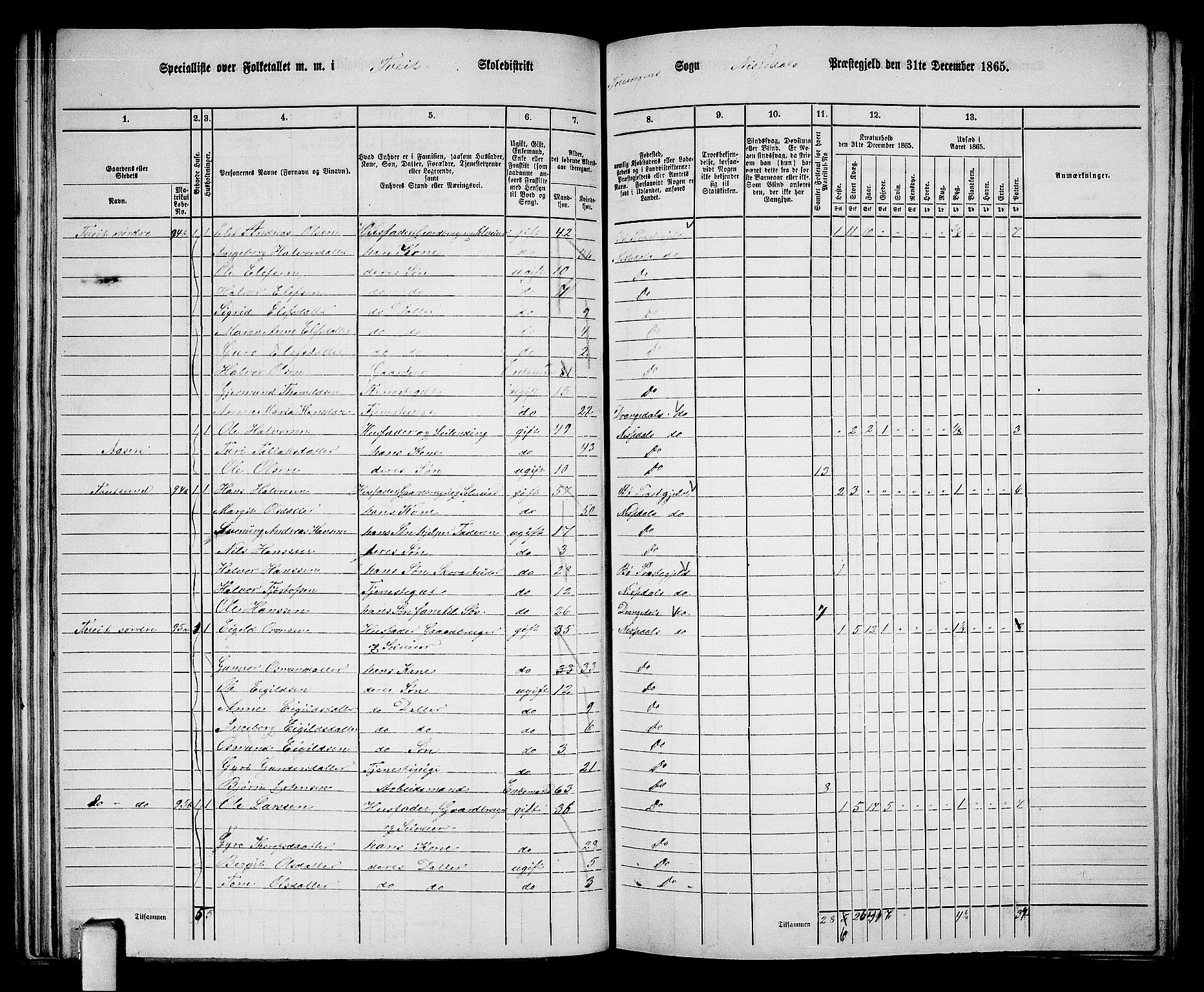 RA, 1865 census for Nissedal, 1865, p. 64