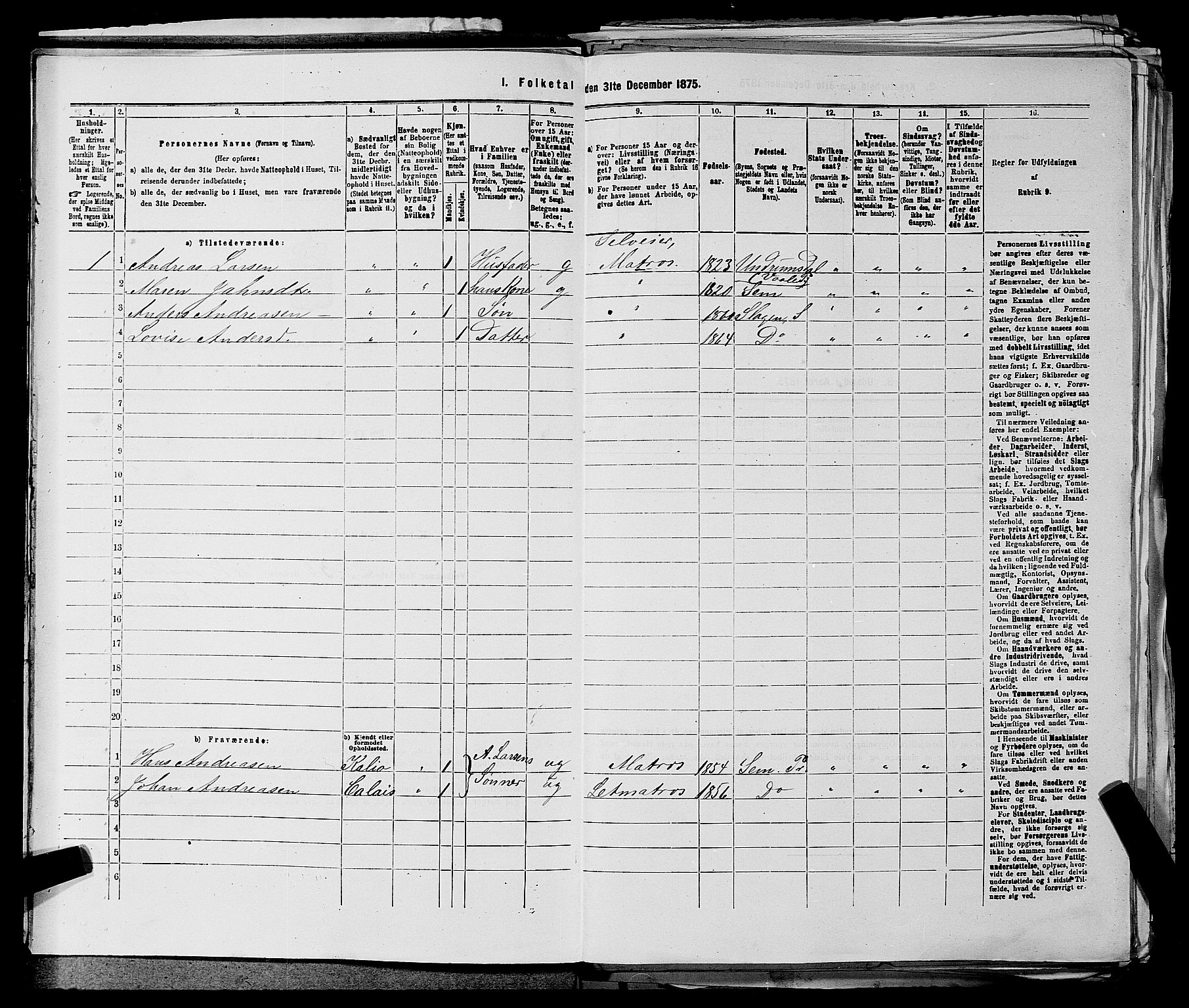 SAKO, 1875 census for 0721P Sem, 1875, p. 776