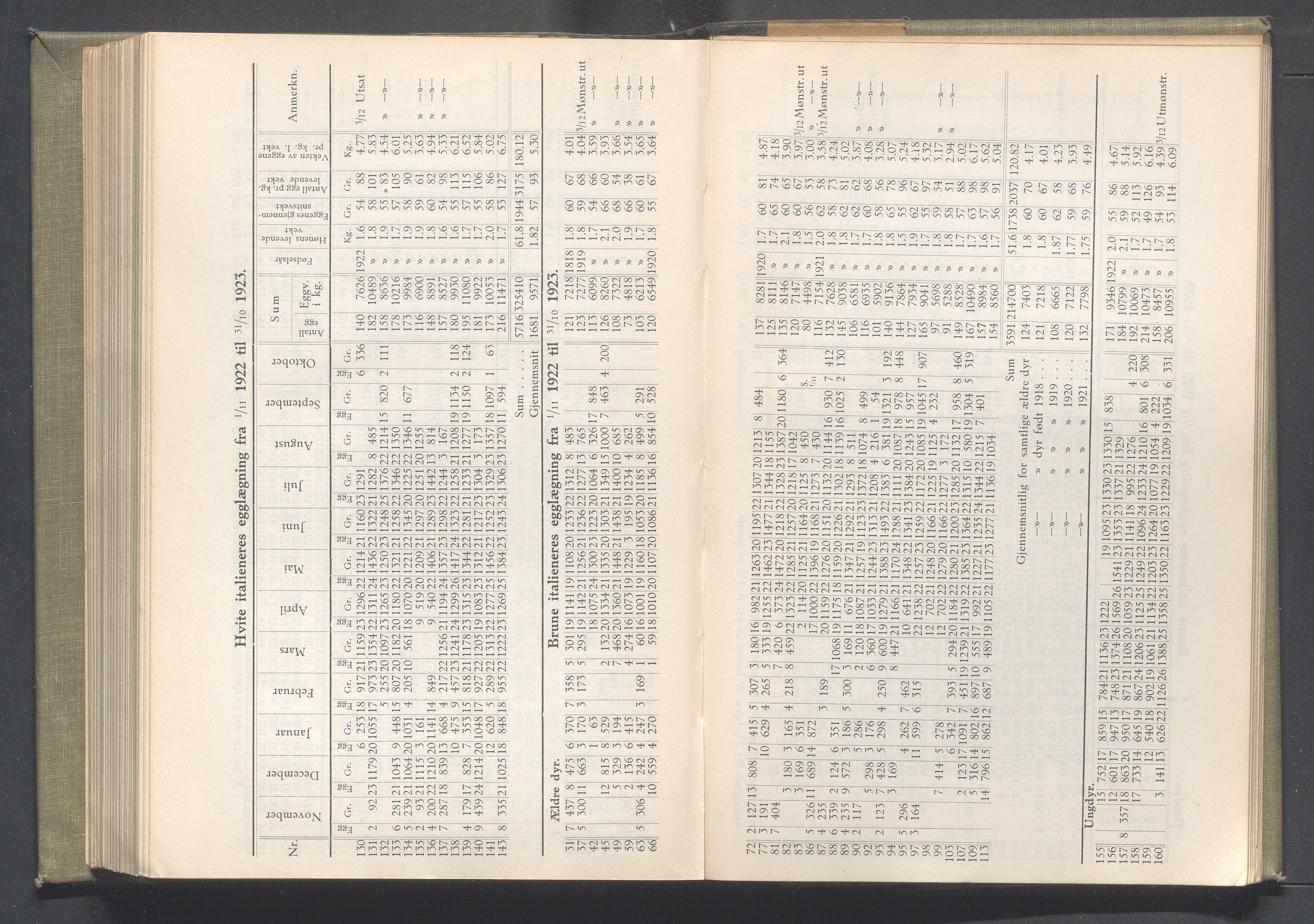 Rogaland fylkeskommune - Fylkesrådmannen , IKAR/A-900/A/Aa/Aaa/L0043: Møtebok , 1924, p. 110-111