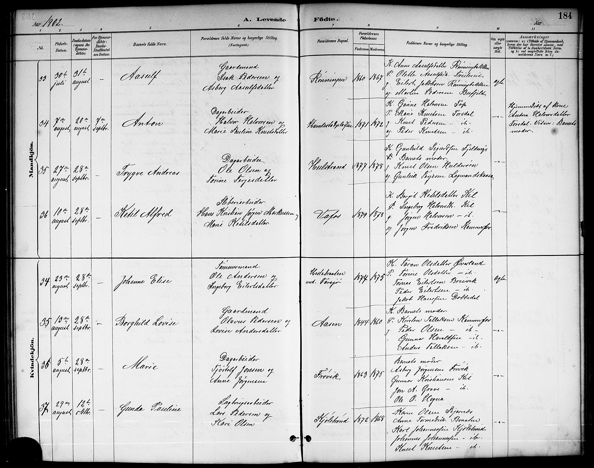 Sannidal kirkebøker, AV/SAKO-A-296/G/Ga/L0003: Parish register (copy) no. 3, 1887-1922, p. 184