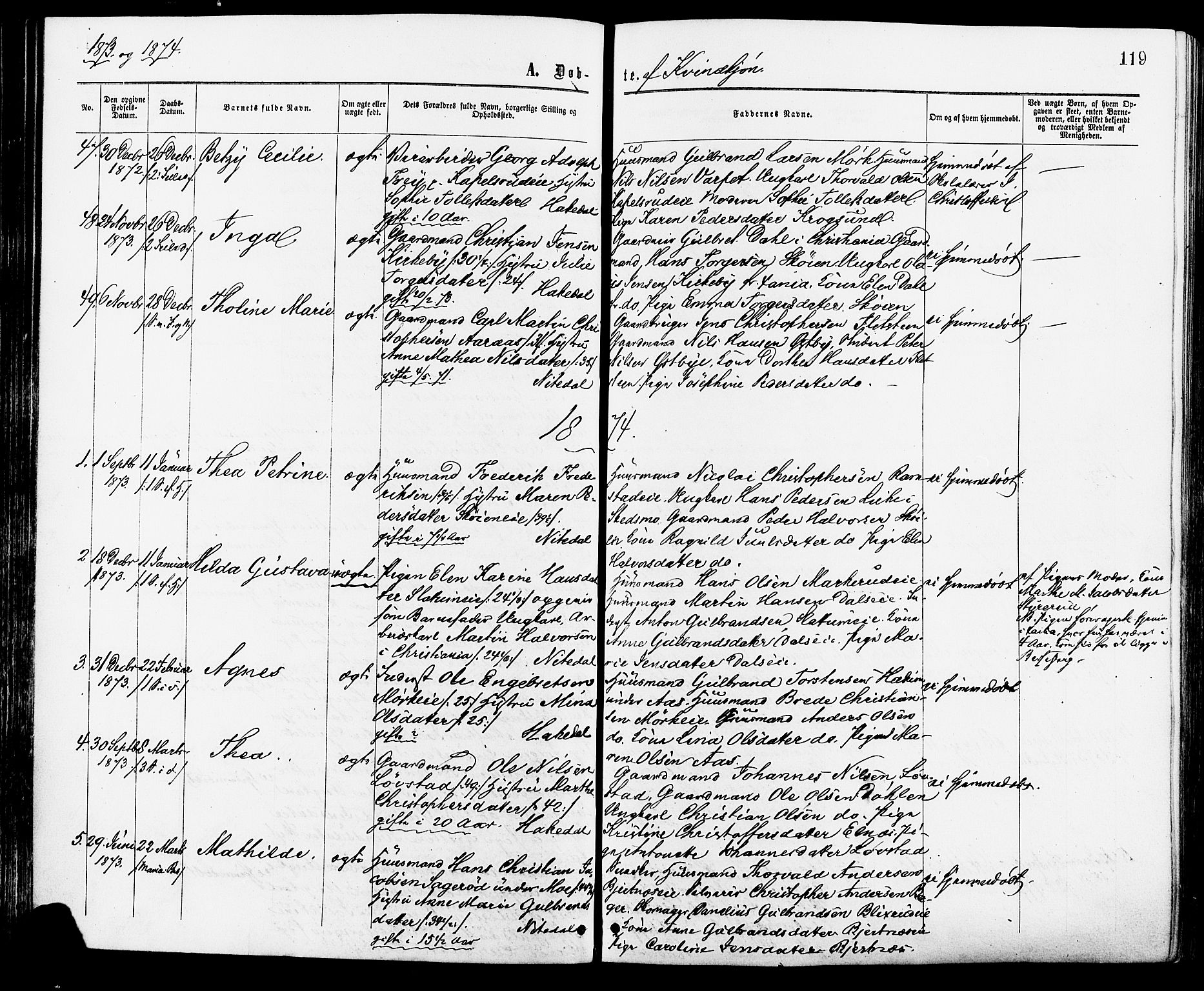 Nittedal prestekontor Kirkebøker, SAO/A-10365a/F/Fa/L0006: Parish register (official) no. I 6, 1863-1878, p. 119
