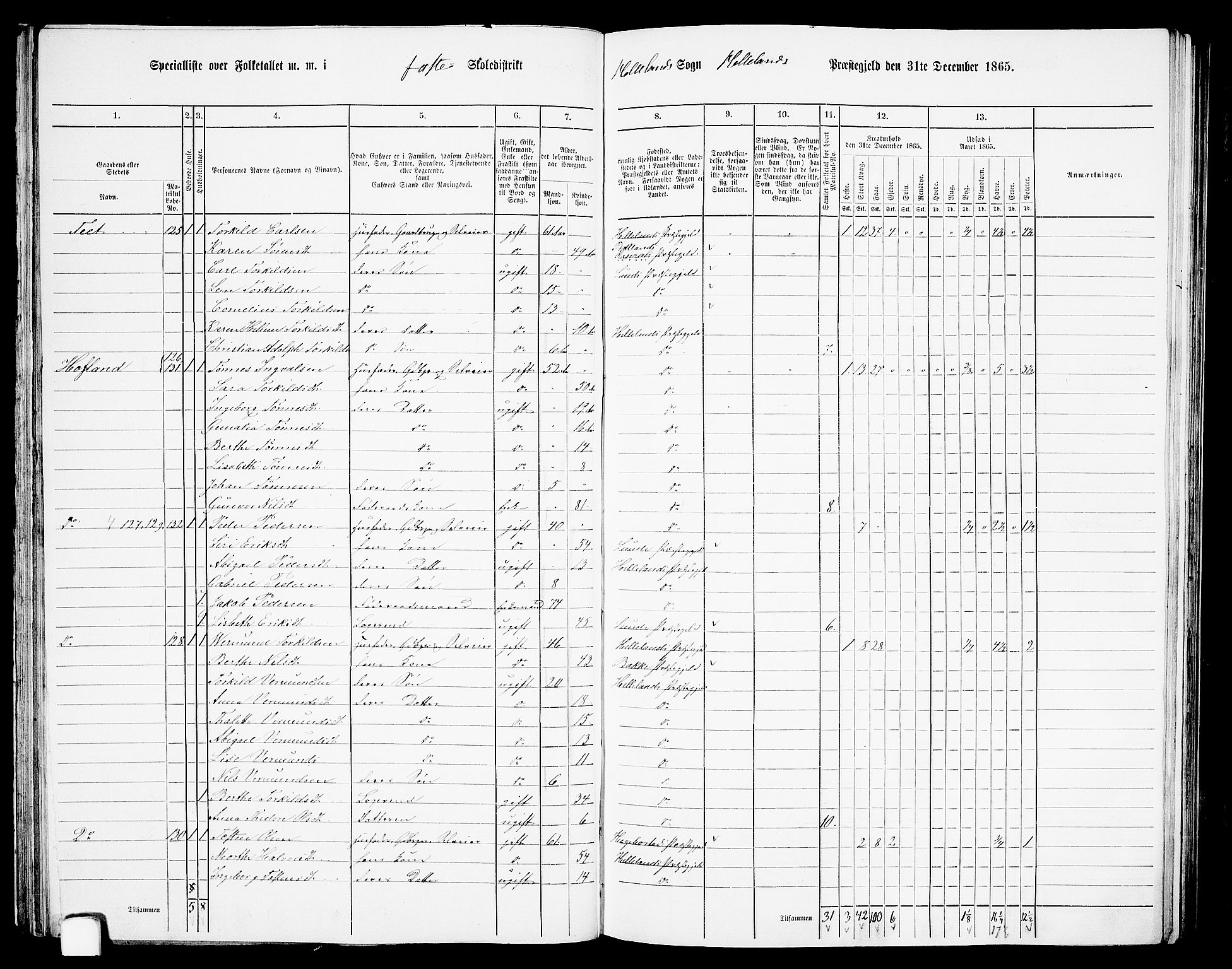 RA, 1865 census for Helleland, 1865, p. 42