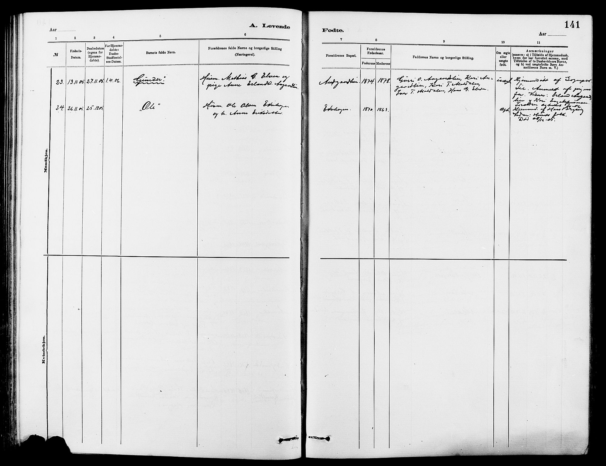 Dovre prestekontor, AV/SAH-PREST-066/H/Ha/Hab/L0002: Parish register (copy) no. 2, 1881-1907, p. 141