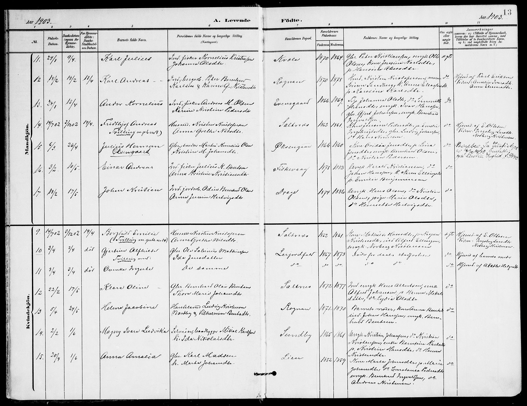 Ministerialprotokoller, klokkerbøker og fødselsregistre - Nordland, AV/SAT-A-1459/847/L0672: Parish register (official) no. 847A12, 1902-1919, p. 13