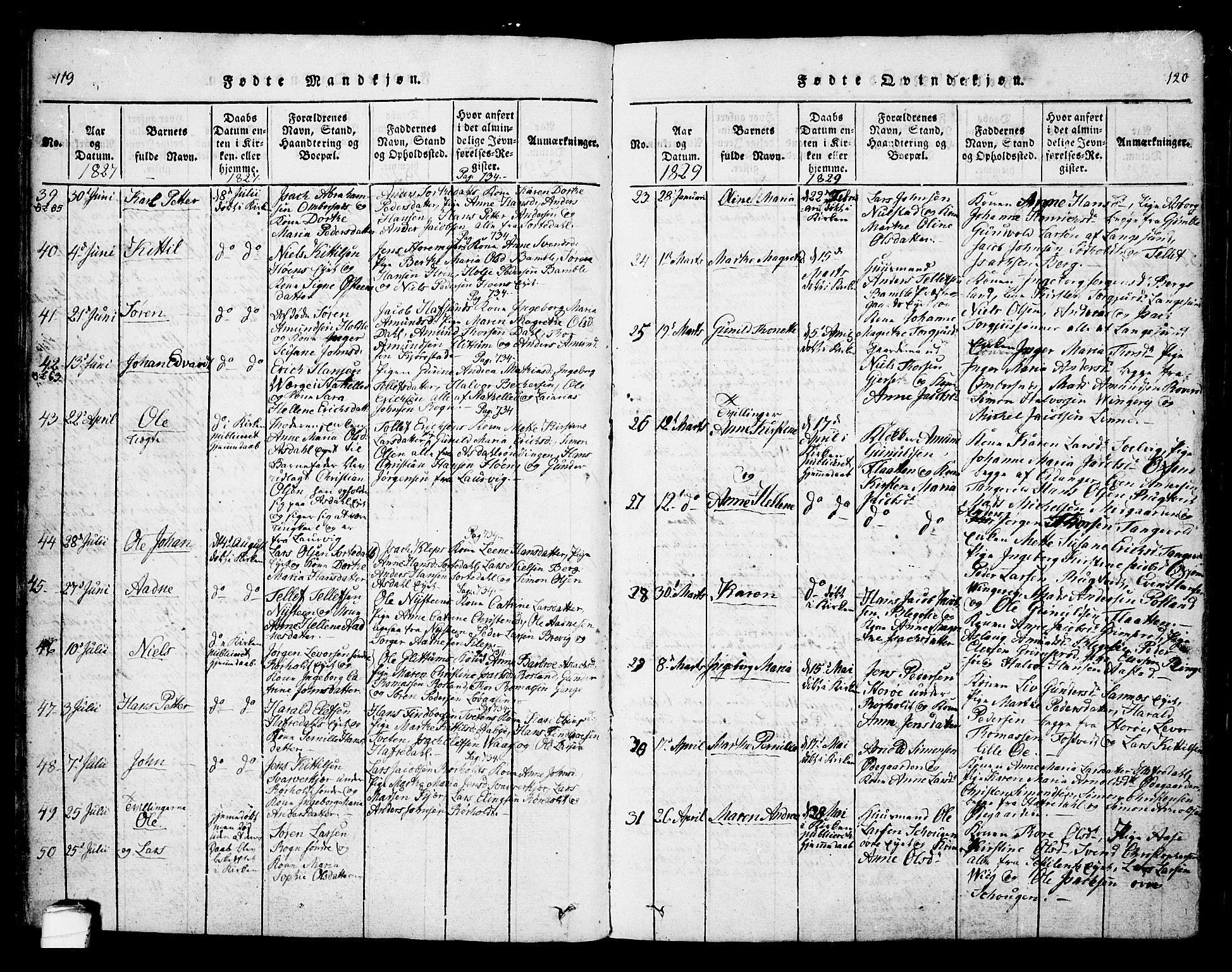 Bamble kirkebøker, AV/SAKO-A-253/F/Fa/L0003: Parish register (official) no. I 3 /1, 1814-1834, p. 119-120