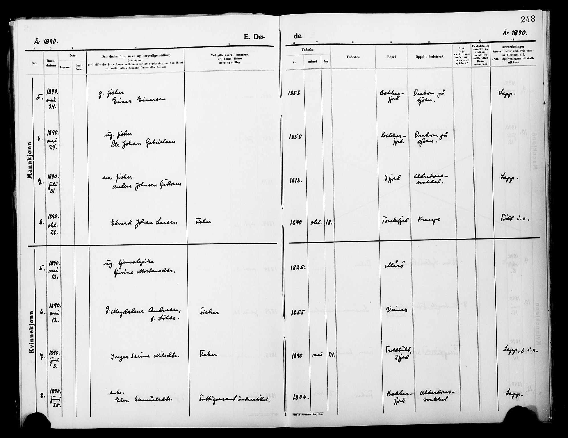 Lebesby sokneprestkontor, SATØ/S-1353/H/Ha/L0004kirke: Parish register (official) no. 4, 1870-1902, p. 248