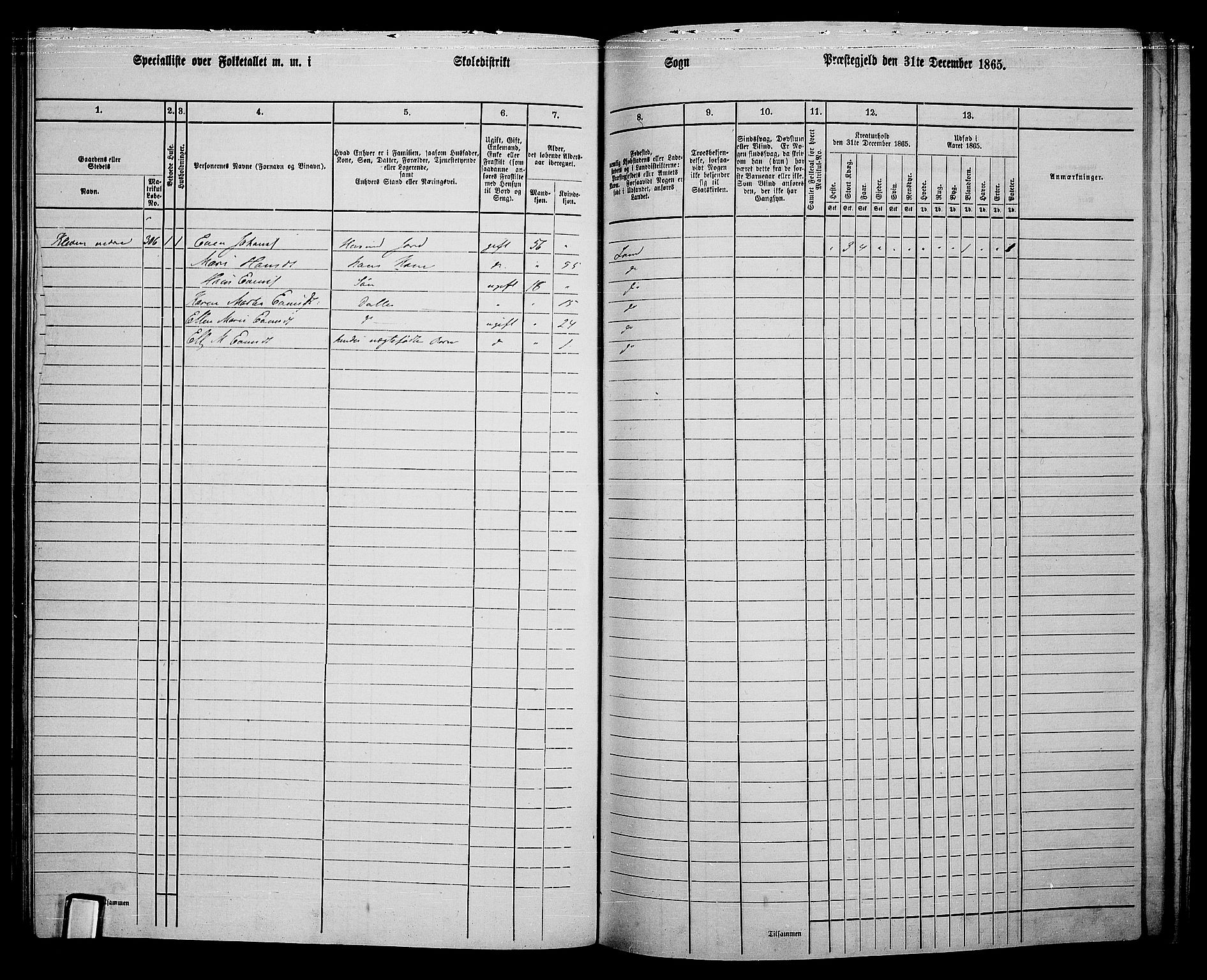 RA, 1865 census for Land, 1865, p. 372