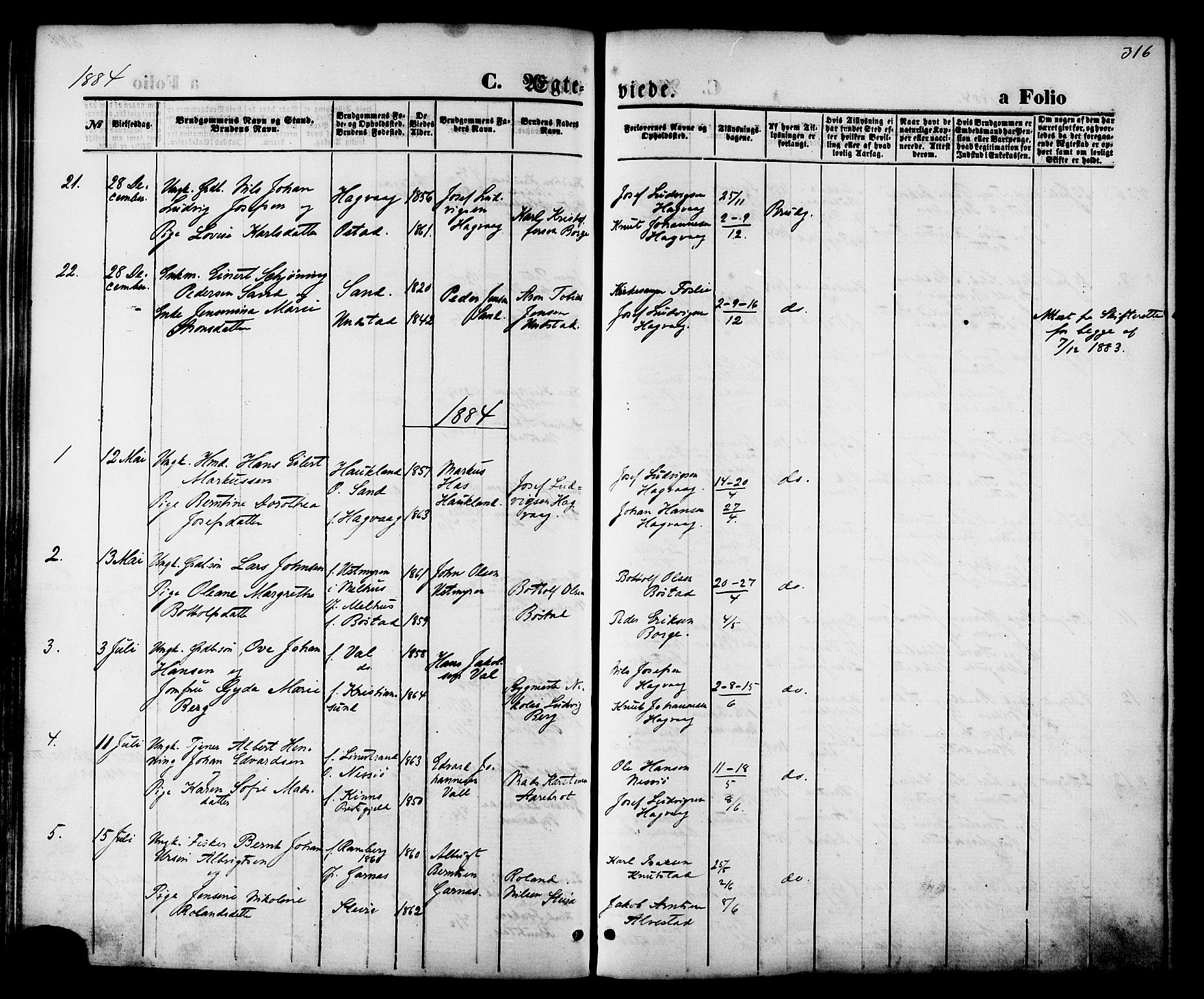 Ministerialprotokoller, klokkerbøker og fødselsregistre - Nordland, SAT/A-1459/880/L1132: Parish register (official) no. 880A06, 1869-1887, p. 316