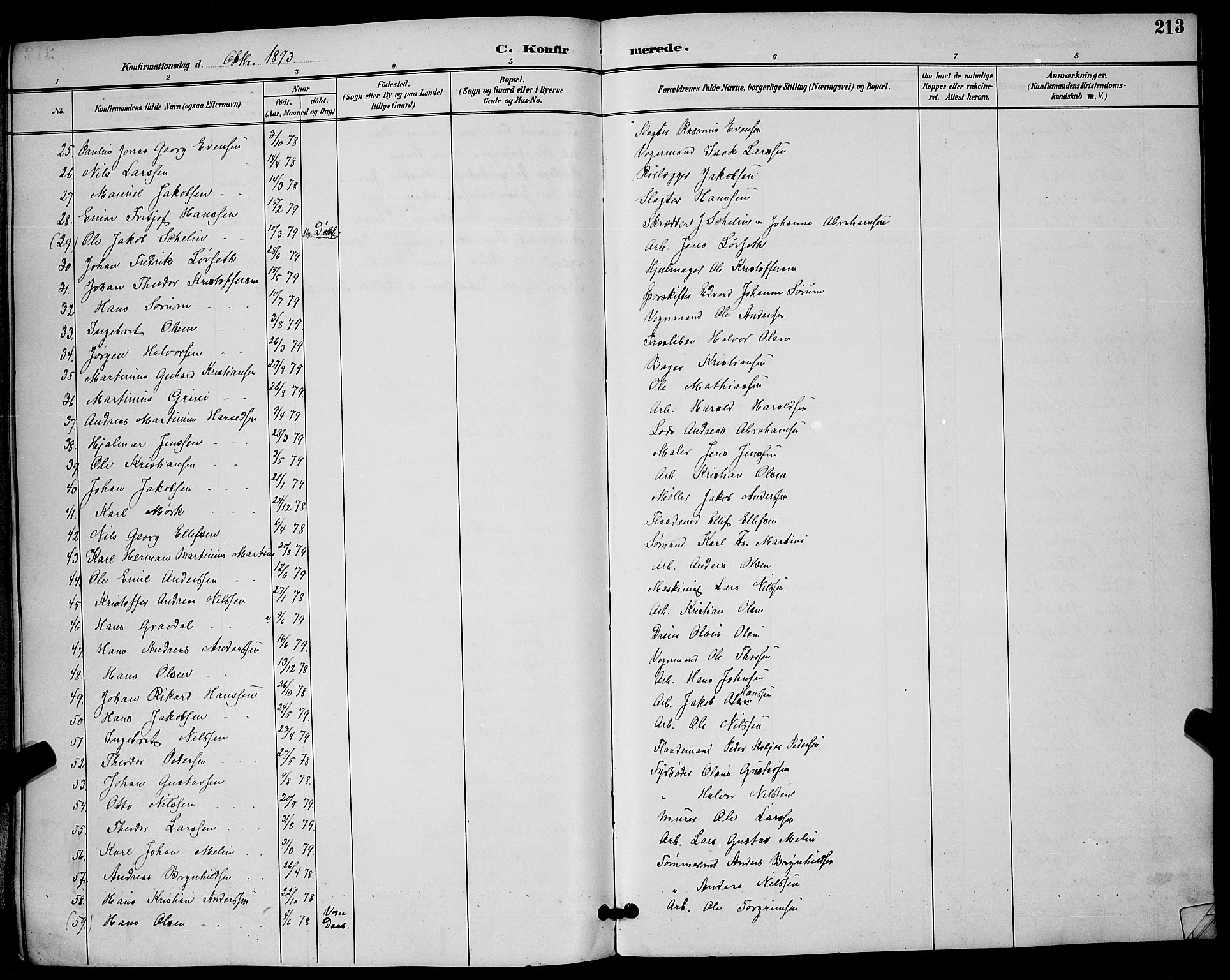 Skien kirkebøker, SAKO/A-302/G/Ga/L0007: Parish register (copy) no. 7, 1891-1900, p. 213
