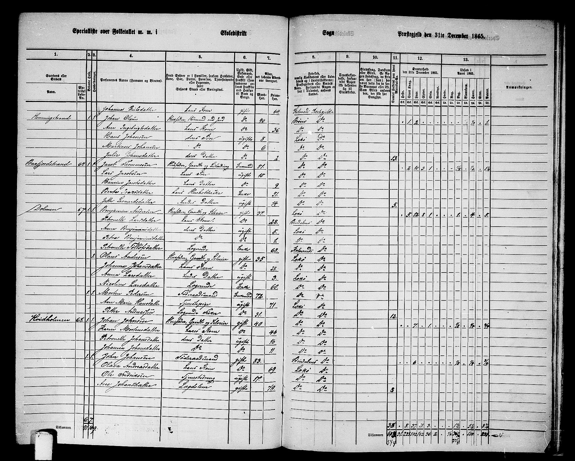 RA, 1865 census for Leka, 1865, p. 41