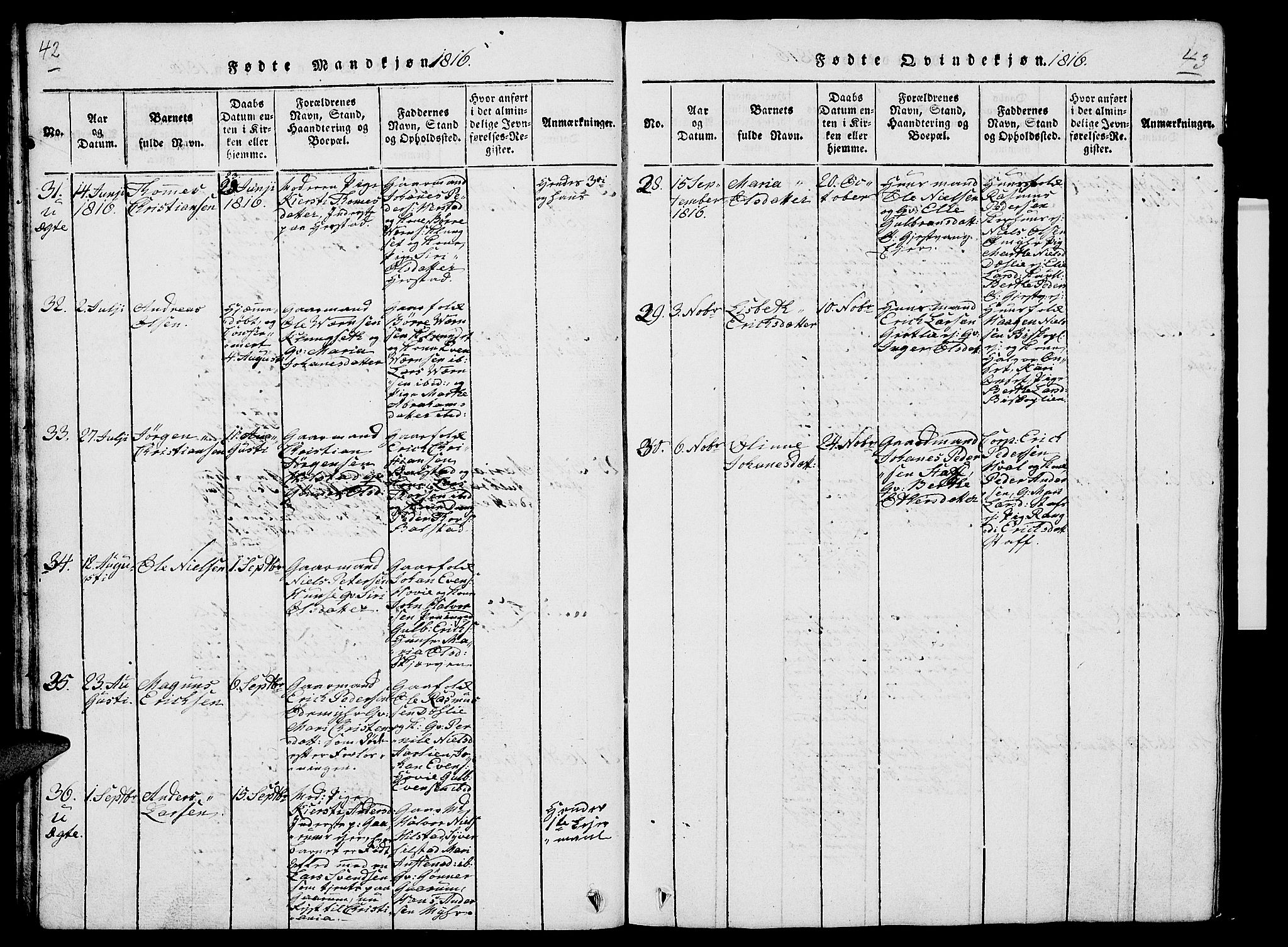 Nes prestekontor, Hedmark, AV/SAH-PREST-020/L/La/L0003: Parish register (copy) no. 3, 1814-1831, p. 42-43