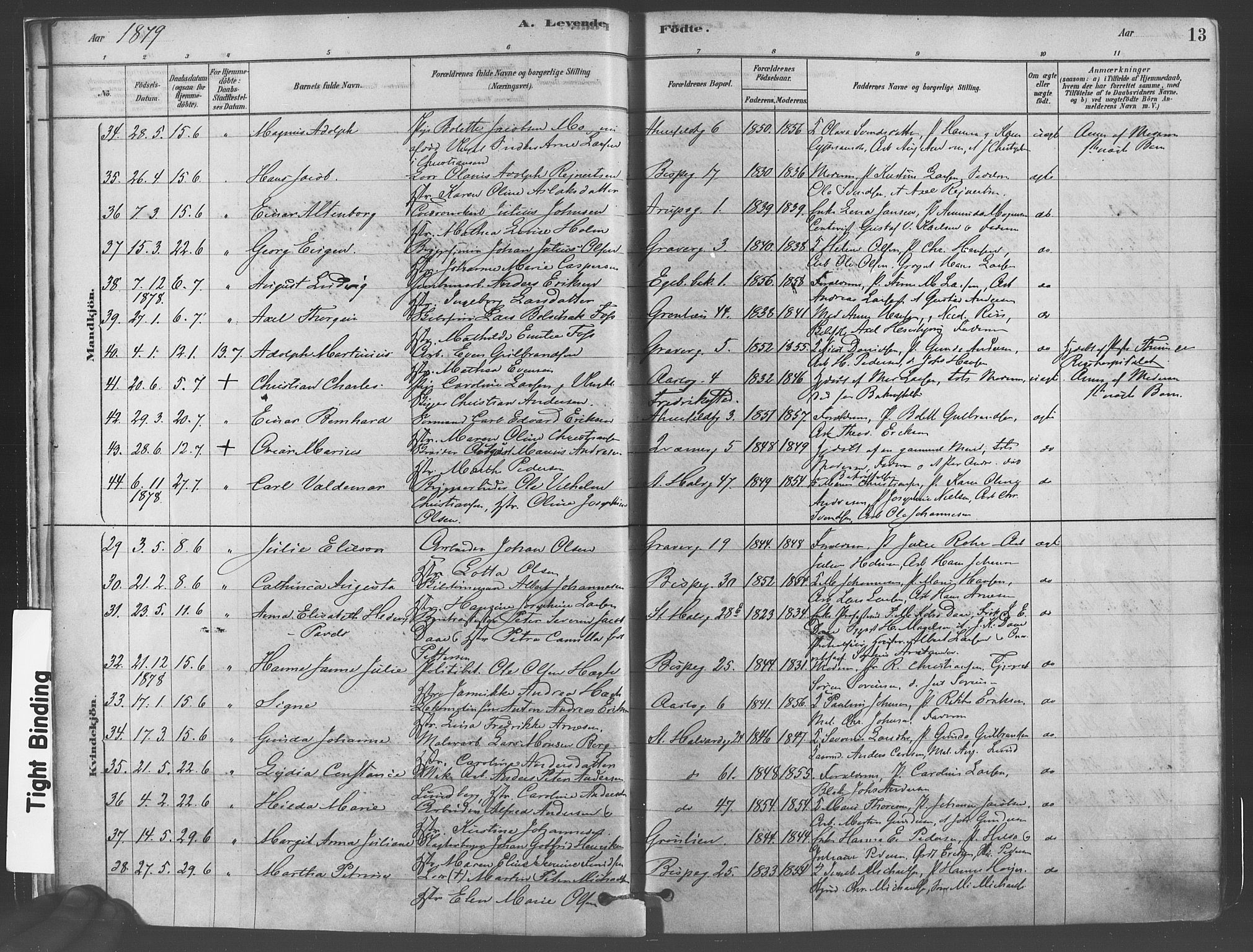 Gamlebyen prestekontor Kirkebøker, AV/SAO-A-10884/F/Fa/L0005: Parish register (official) no. 5, 1878-1889, p. 13