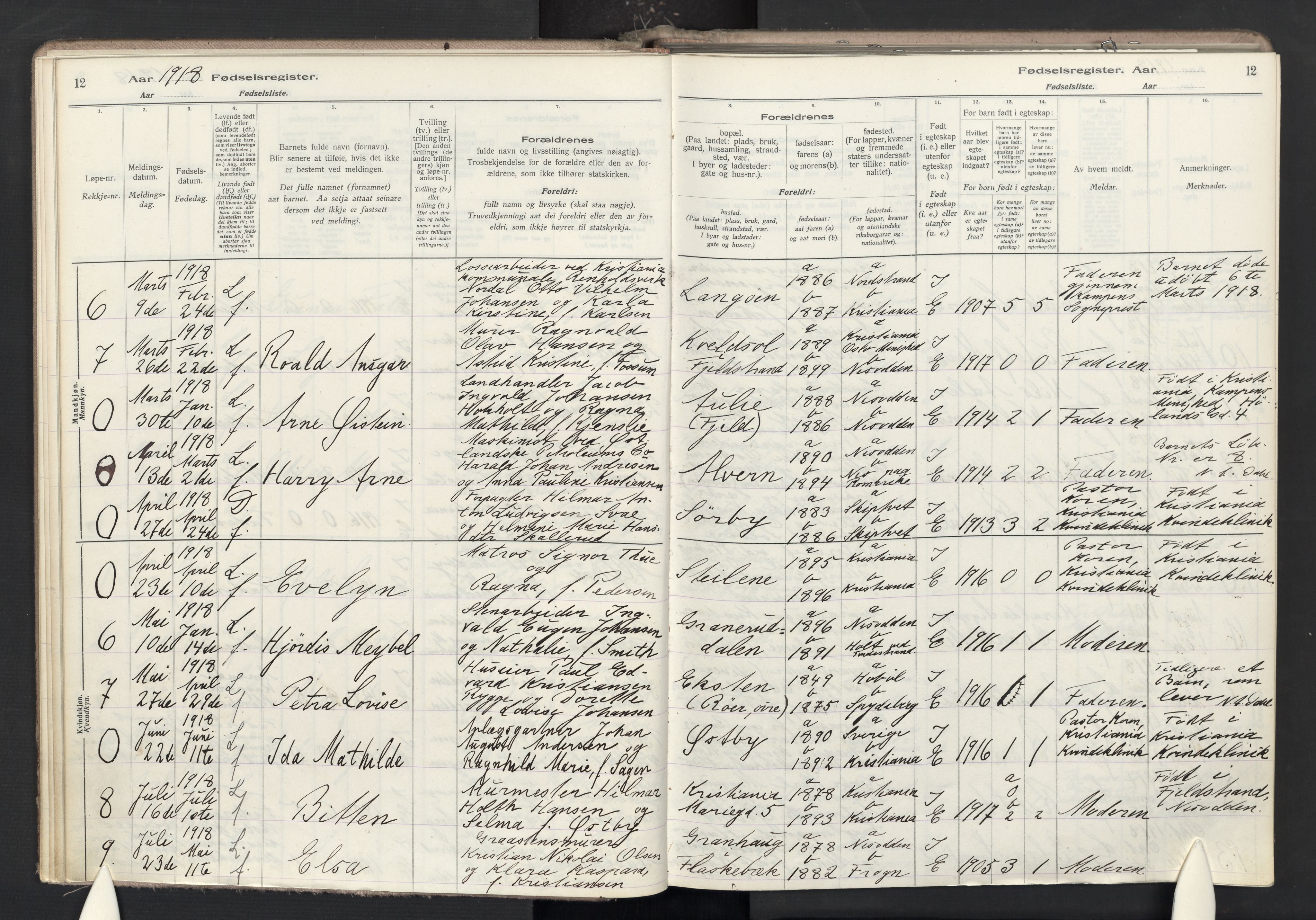 Nesodden prestekontor Kirkebøker, SAO/A-10013/J/Ja/L0001: Birth register no. 1, 1916-1946, p. 12