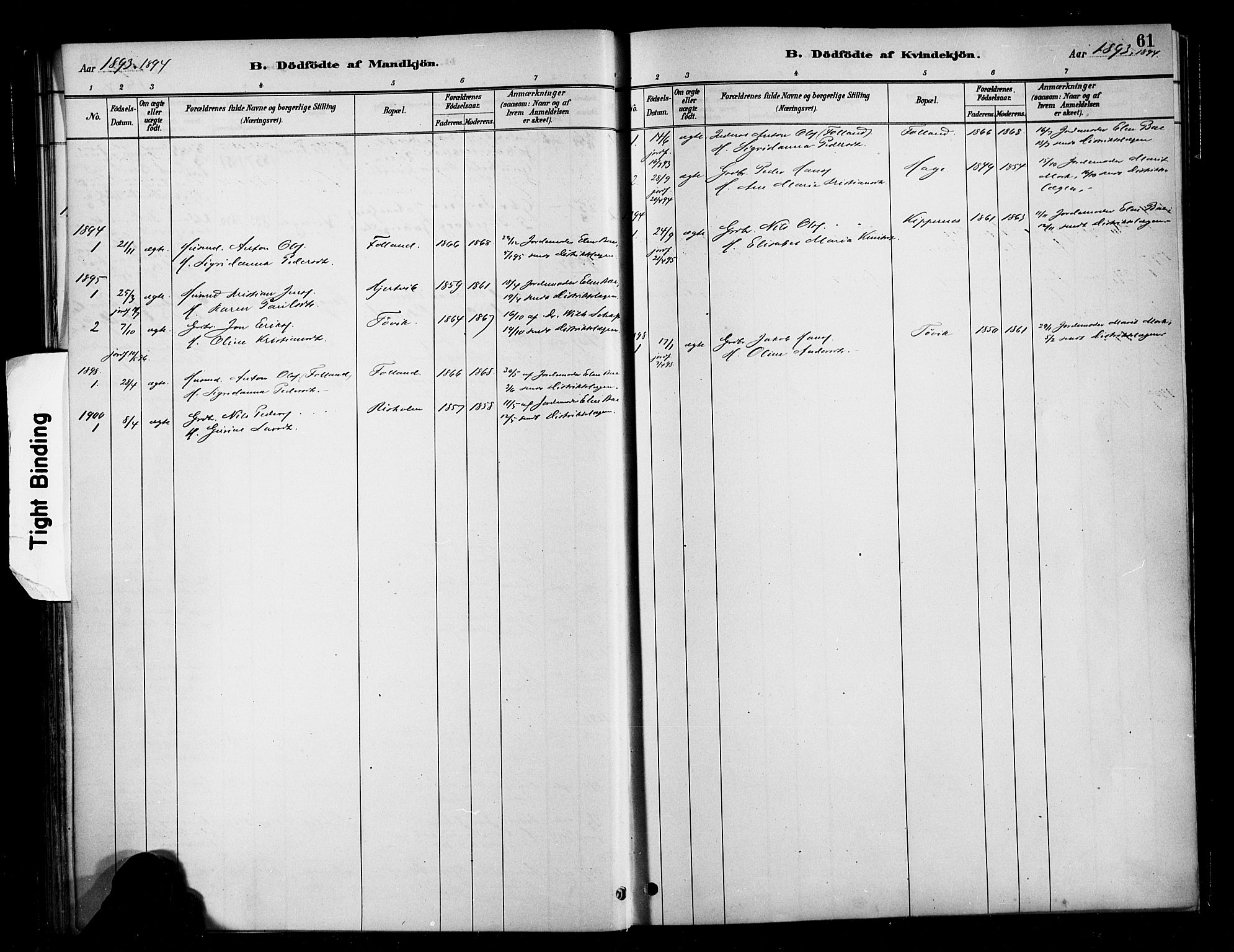 Ministerialprotokoller, klokkerbøker og fødselsregistre - Møre og Romsdal, SAT/A-1454/570/L0832: Parish register (official) no. 570A06, 1885-1900, p. 61