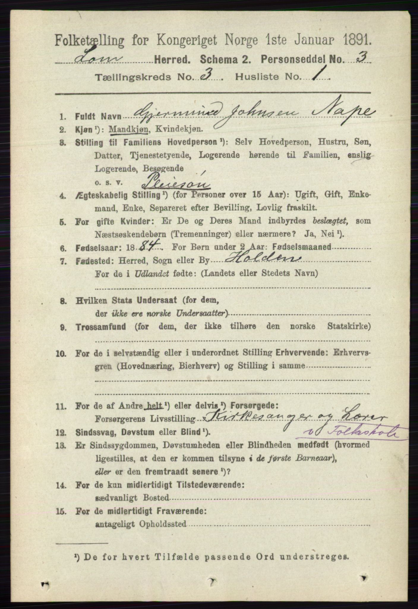 RA, 1891 census for 0514 Lom, 1891, p. 1263