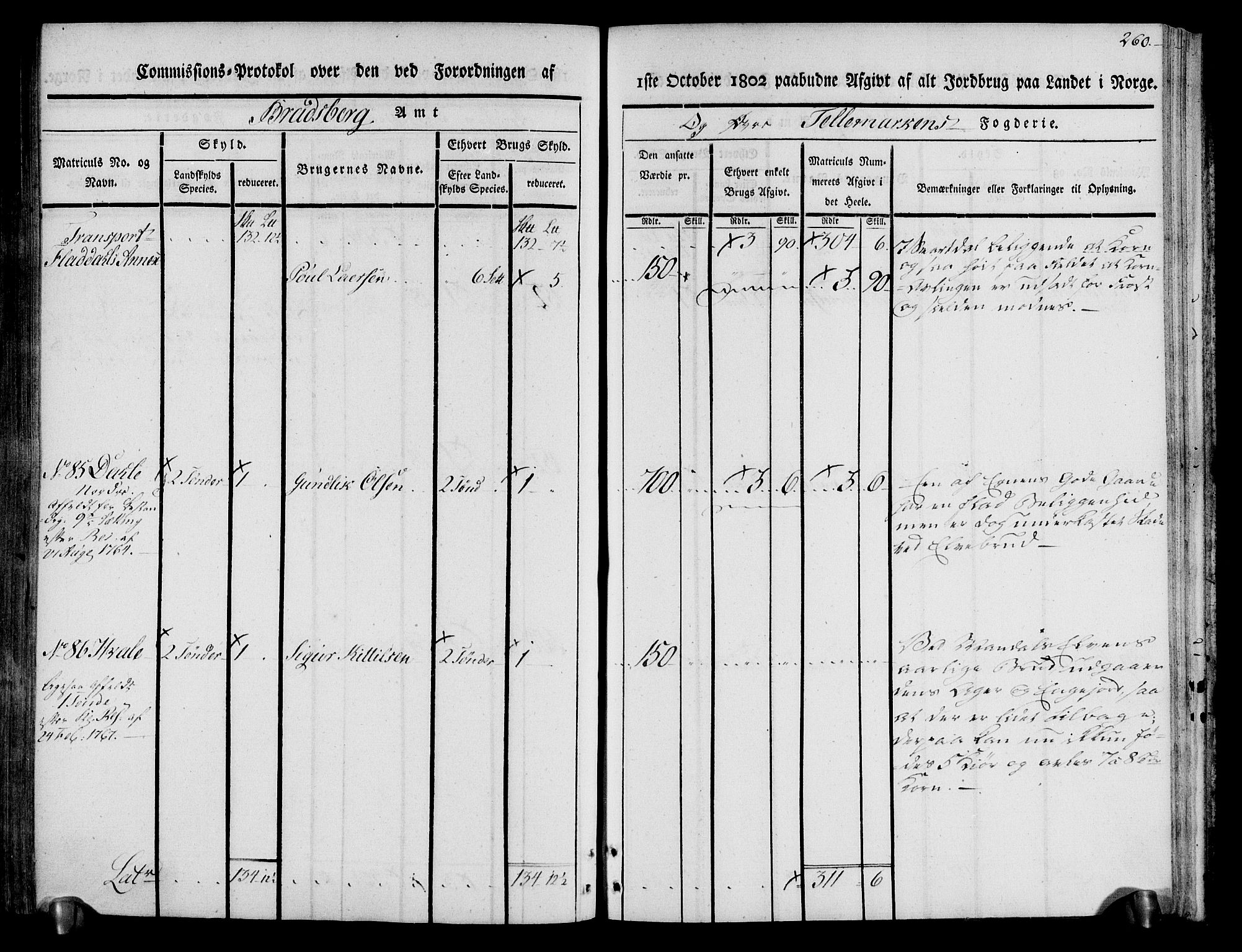 Rentekammeret inntil 1814, Realistisk ordnet avdeling, AV/RA-EA-4070/N/Ne/Nea/L0074: Øvre Telemarken fogderi. Kommisjonsprotokoll for fogderiets østre del - Tinn, Hjartdal og Seljord prestegjeld., 1803, p. 260