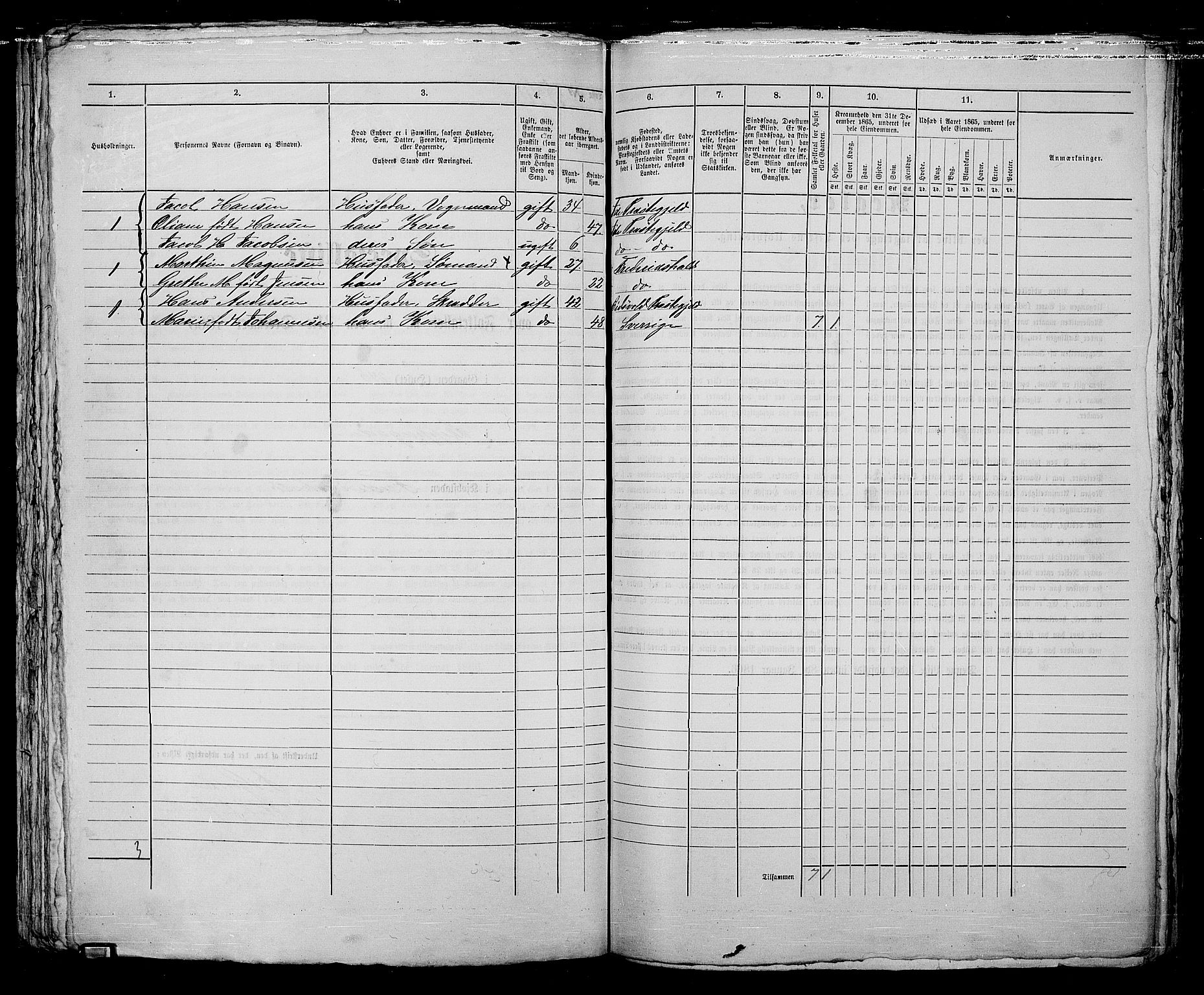 RA, 1865 census for Fredrikshald, 1865, p. 1084