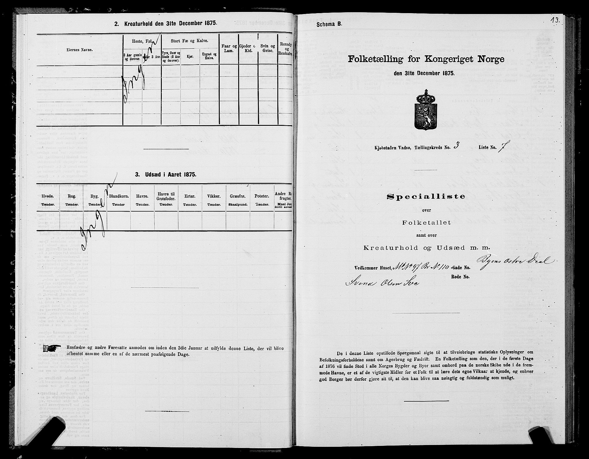 SATØ, 1875 census for 2003B Vadsø/Vadsø, 1875, p. 2013