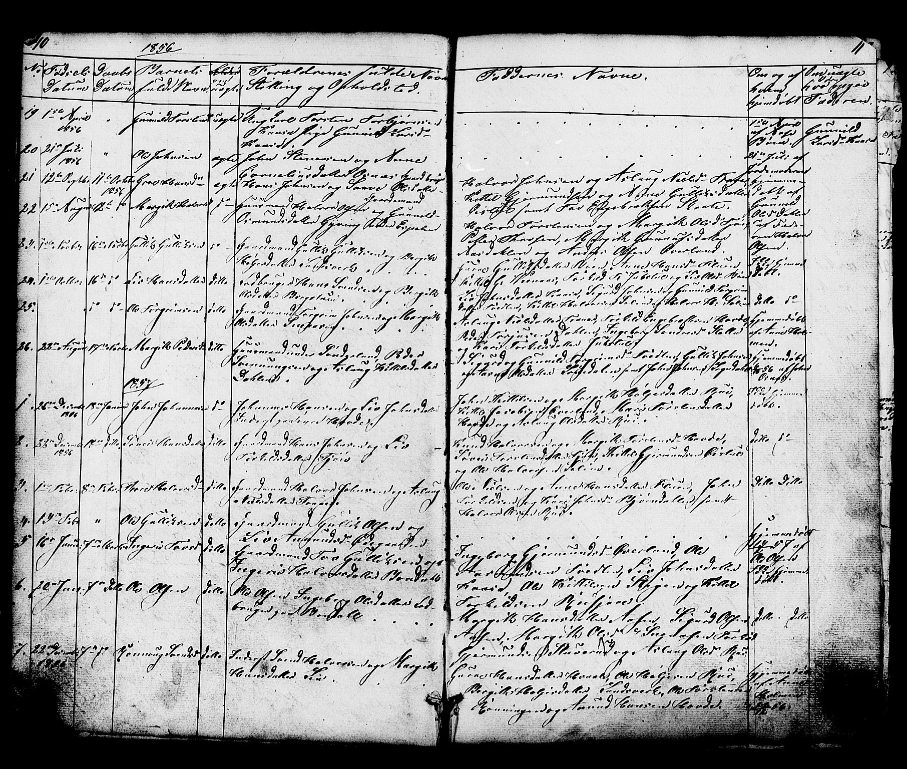 Hjartdal kirkebøker, SAKO/A-270/G/Gc/L0002: Parish register (copy) no. III 2, 1854-1890, p. 10-11