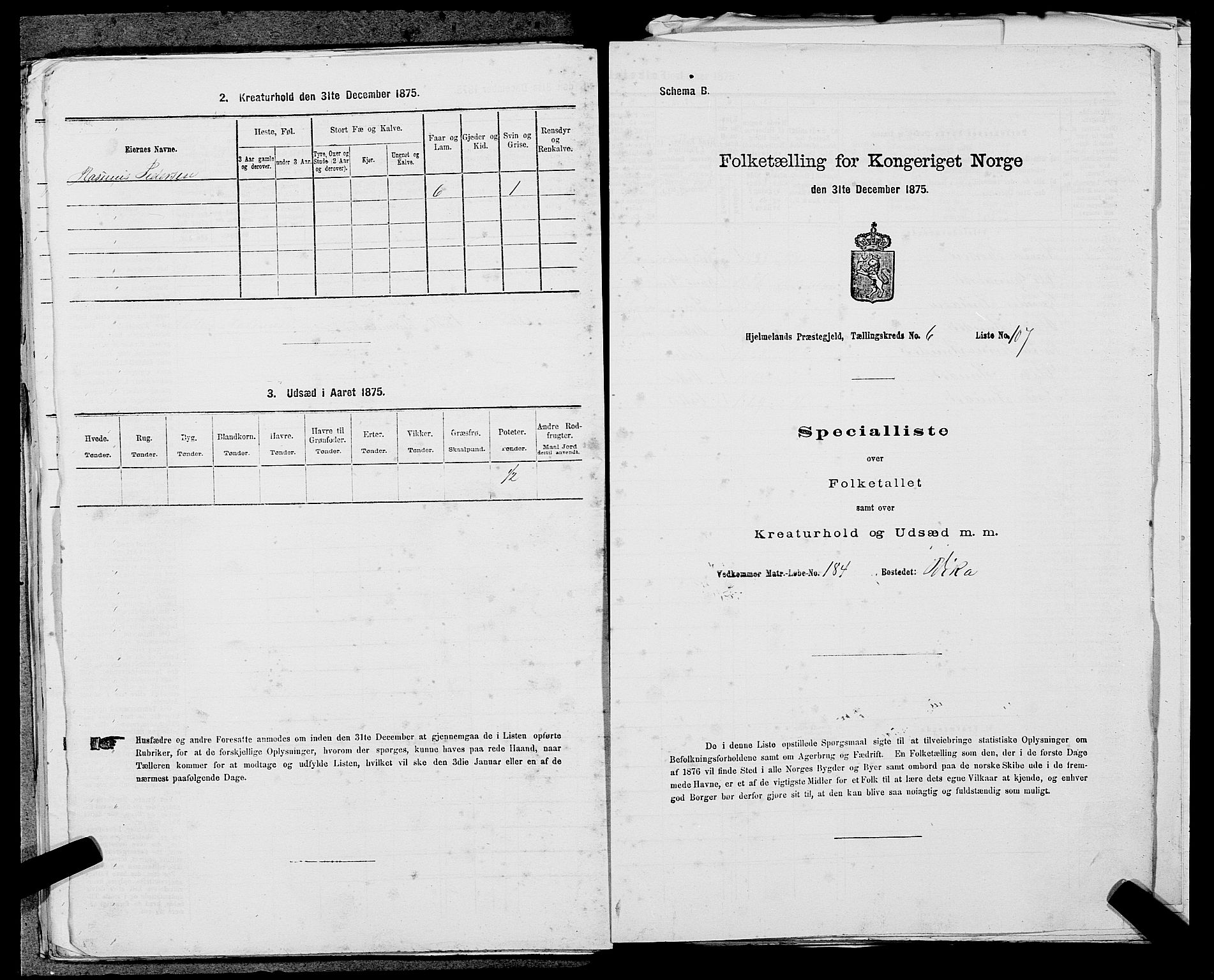 SAST, 1875 census for 1133P Hjelmeland, 1875, p. 899