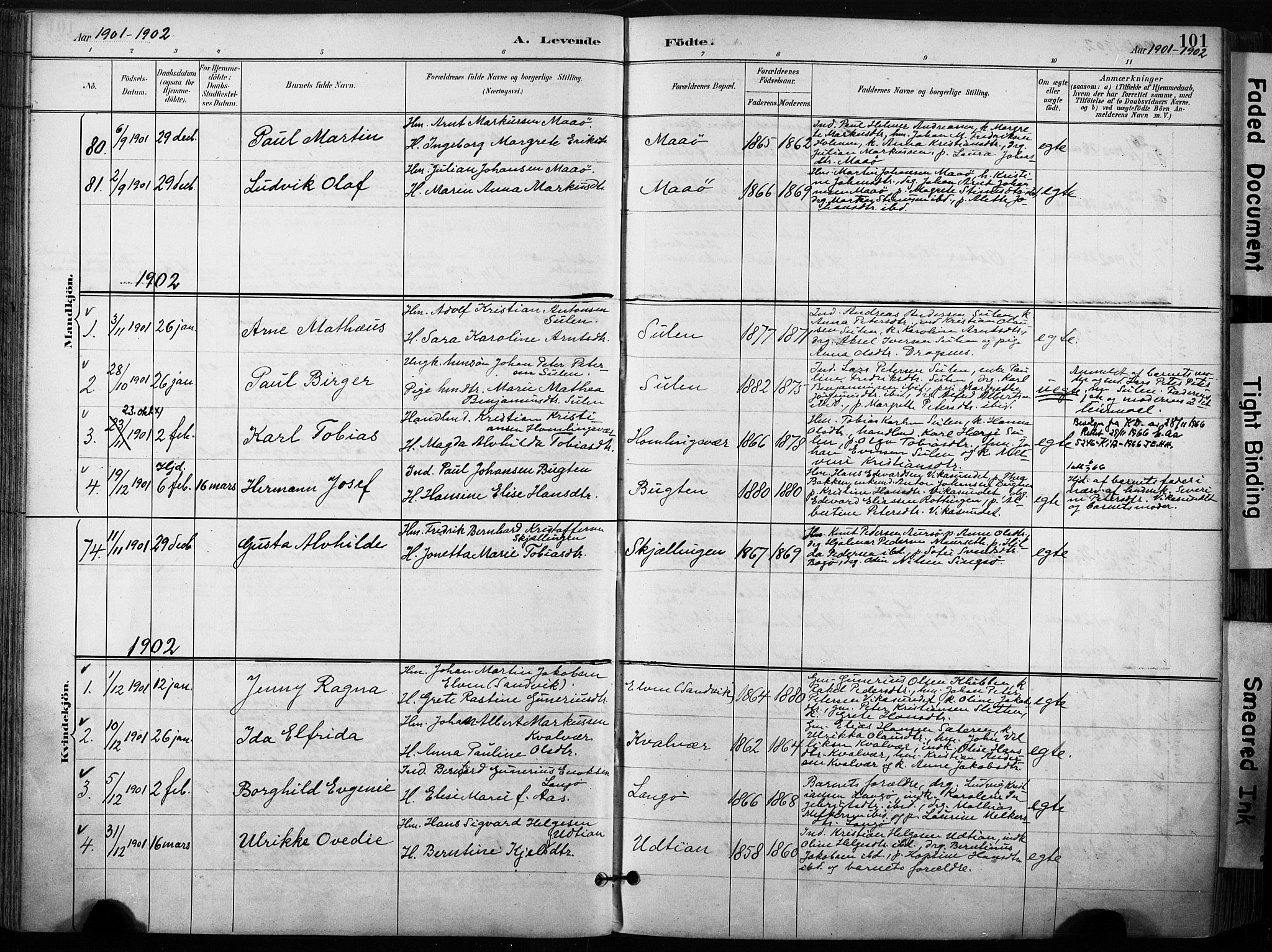 Ministerialprotokoller, klokkerbøker og fødselsregistre - Sør-Trøndelag, AV/SAT-A-1456/640/L0579: Parish register (official) no. 640A04, 1889-1902, p. 101