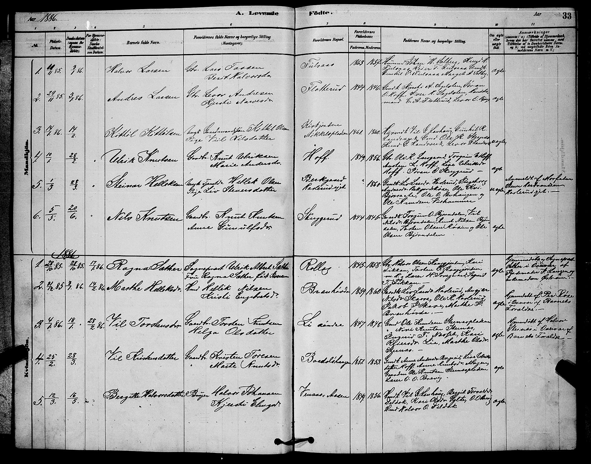 Rollag kirkebøker, AV/SAKO-A-240/G/Ga/L0004: Parish register (copy) no. I 4, 1878-1903, p. 33
