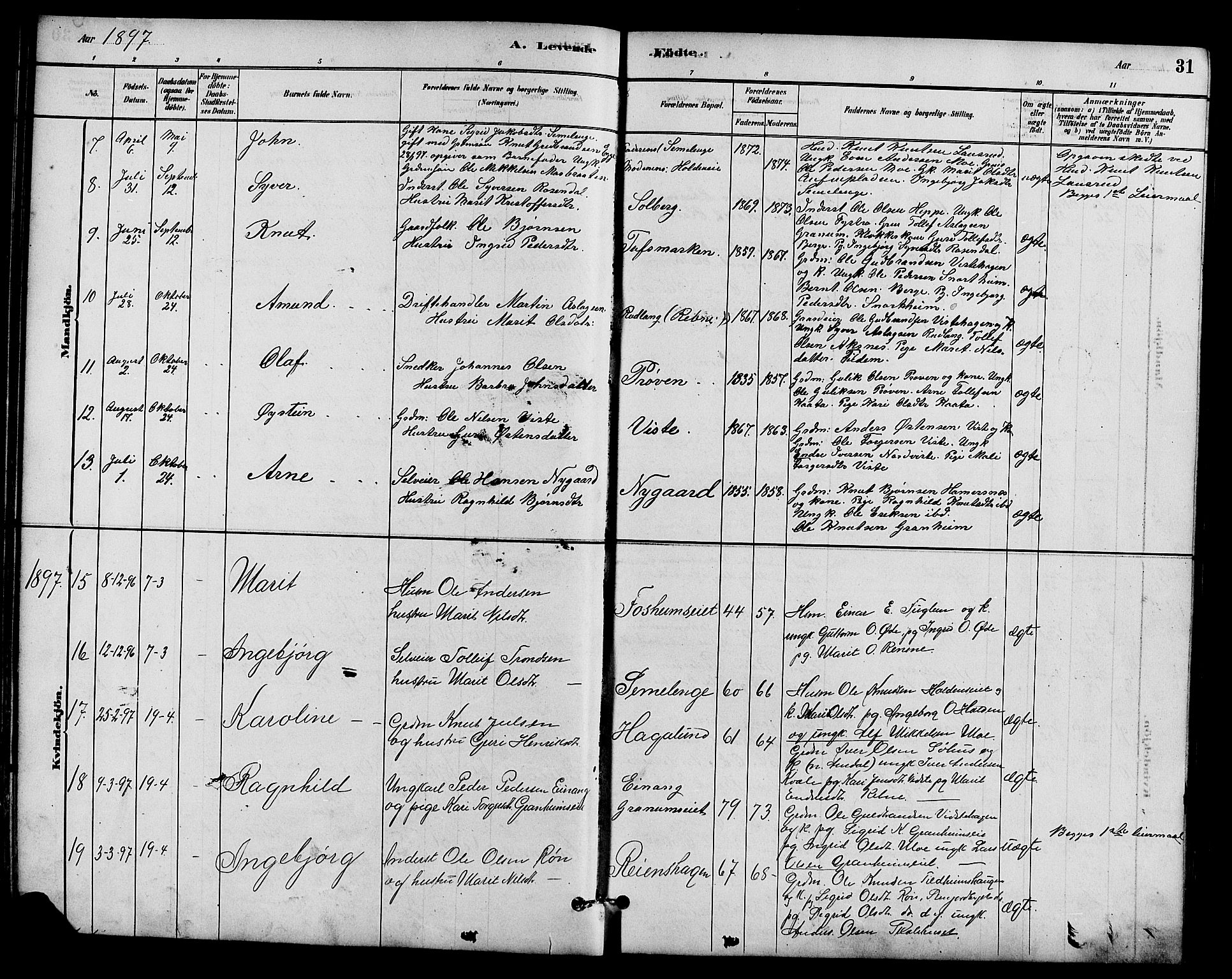 Vestre Slidre prestekontor, SAH/PREST-136/H/Ha/Hab/L0005: Parish register (copy) no. 5, 1881-1913, p. 31