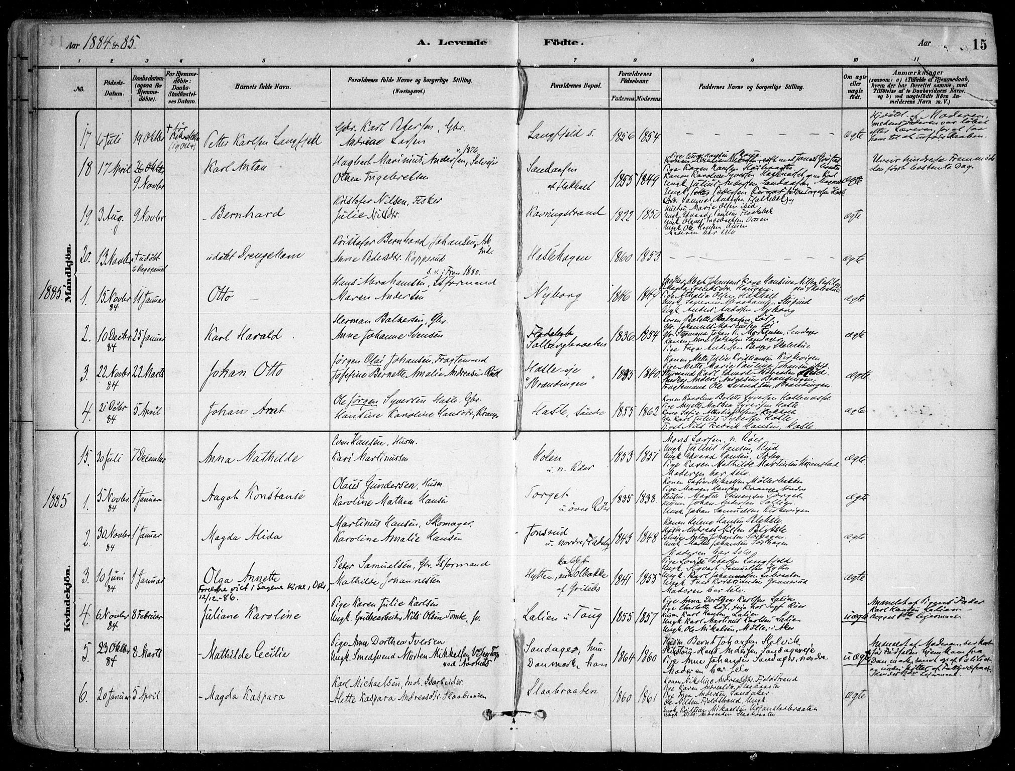 Nesodden prestekontor Kirkebøker, SAO/A-10013/F/Fa/L0009: Parish register (official) no. I 9, 1880-1915, p. 15