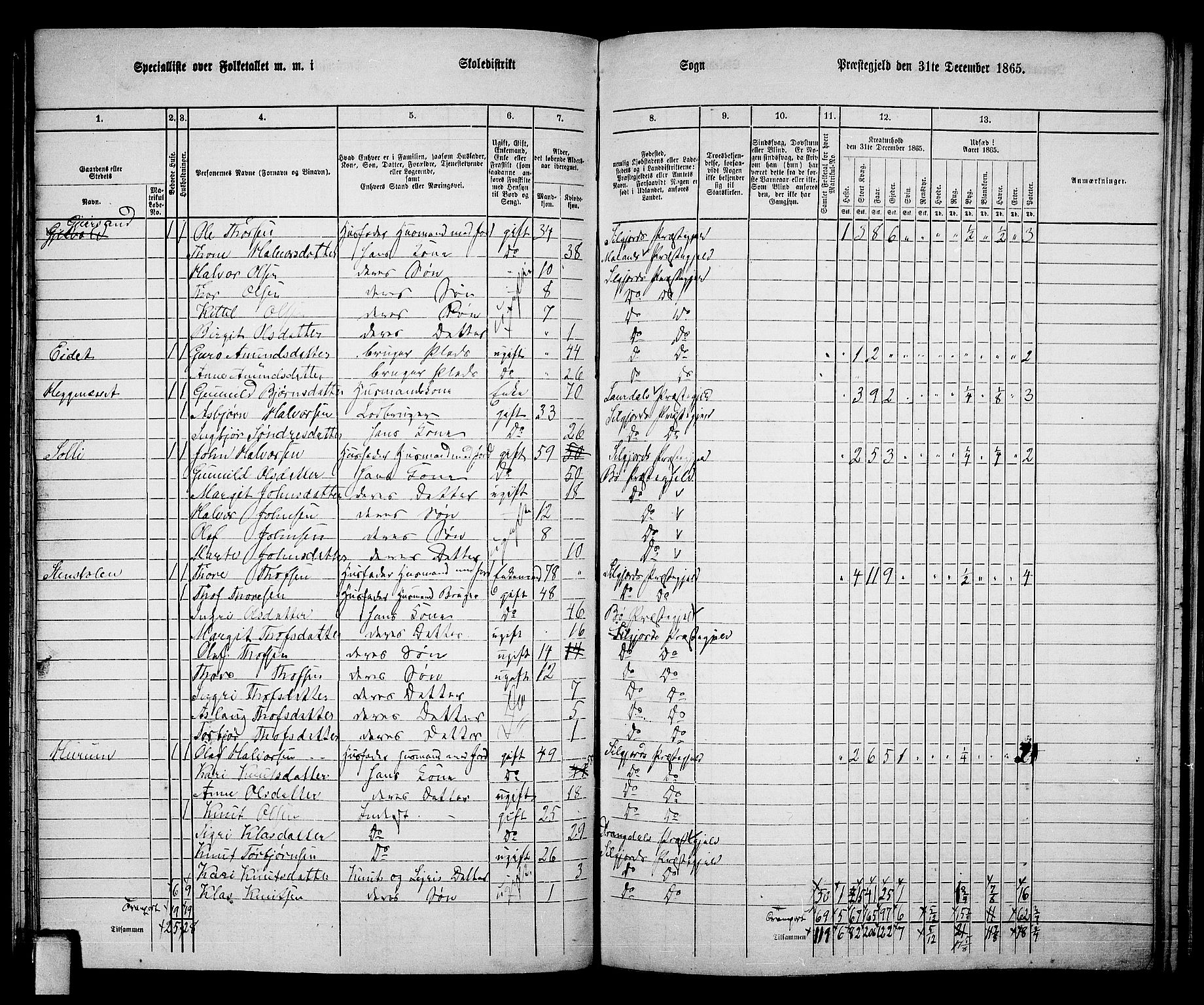 RA, 1865 census for Seljord, 1865, p. 81