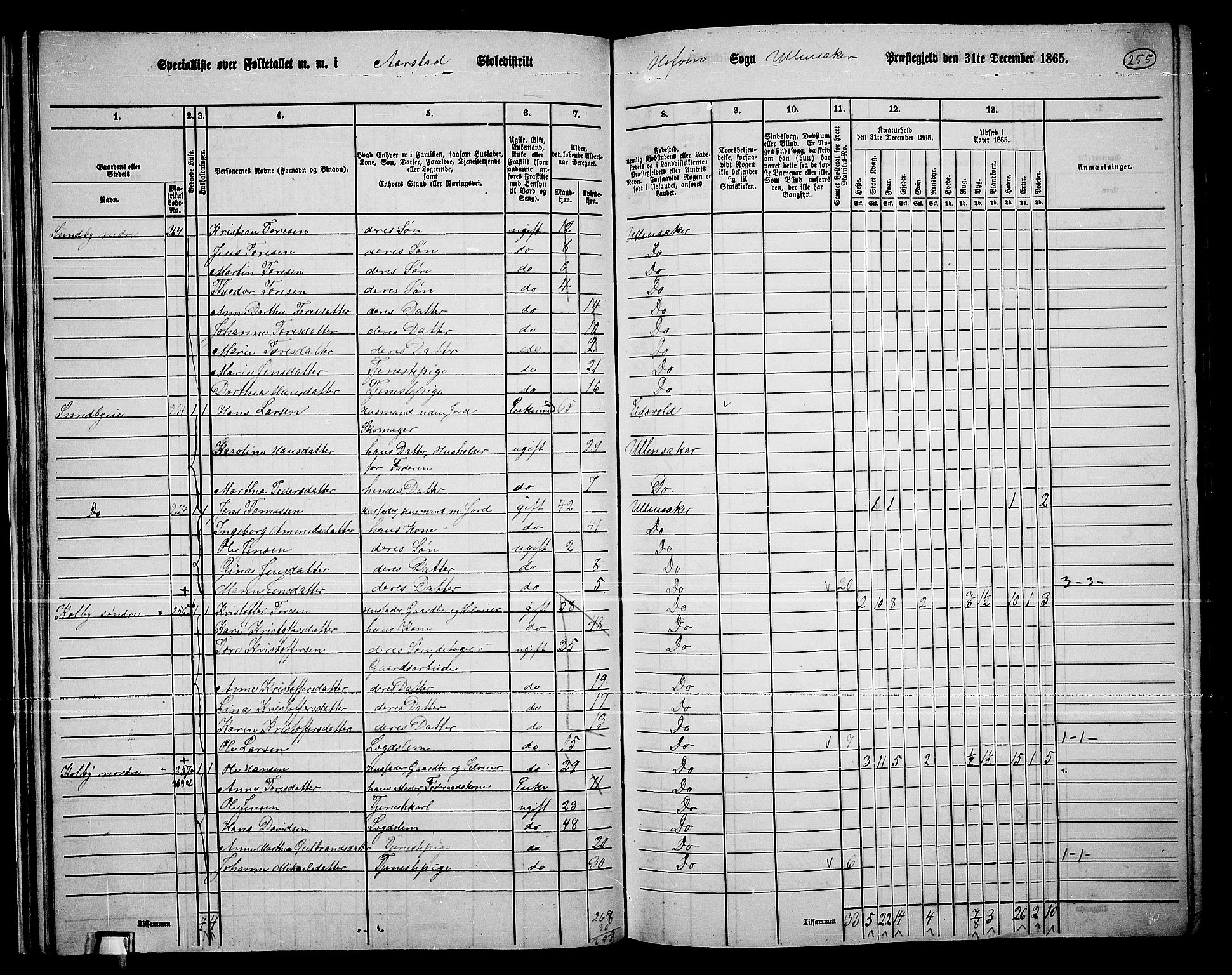 RA, 1865 census for Ullensaker, 1865, p. 227