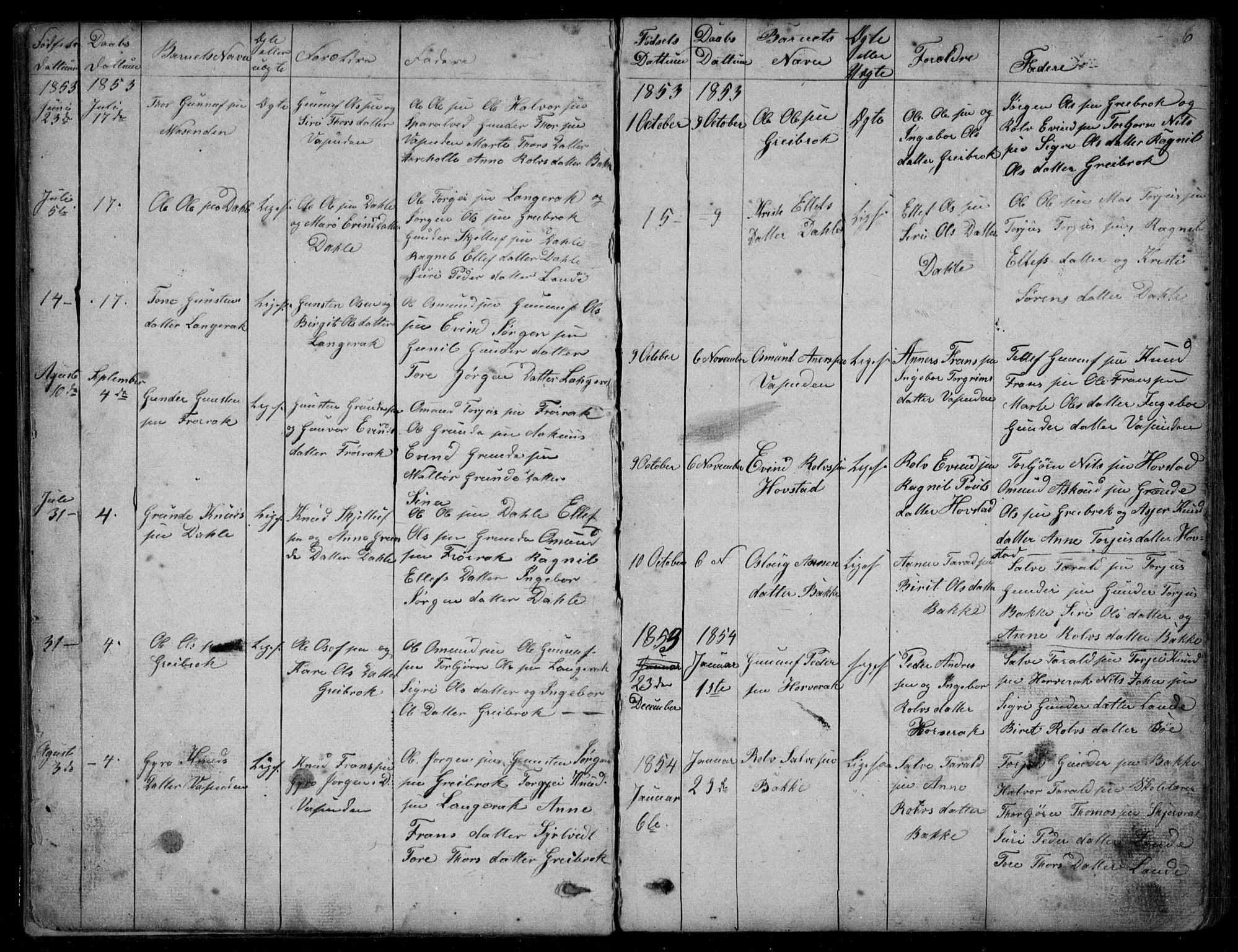Bygland sokneprestkontor, SAK/1111-0006/F/Fb/Fbd/L0001: Parish register (copy) no. B 1, 1848-1895, p. 6