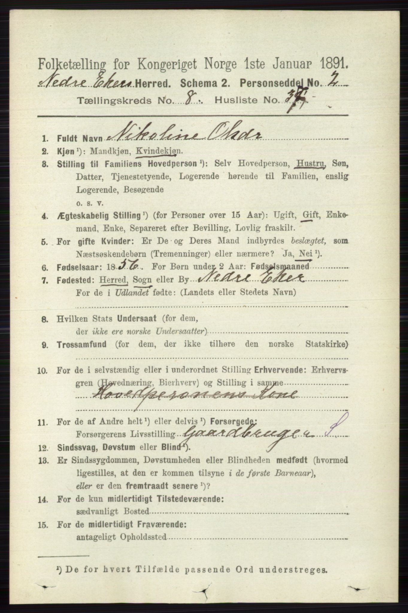 RA, 1891 census for 0625 Nedre Eiker, 1891, p. 4179