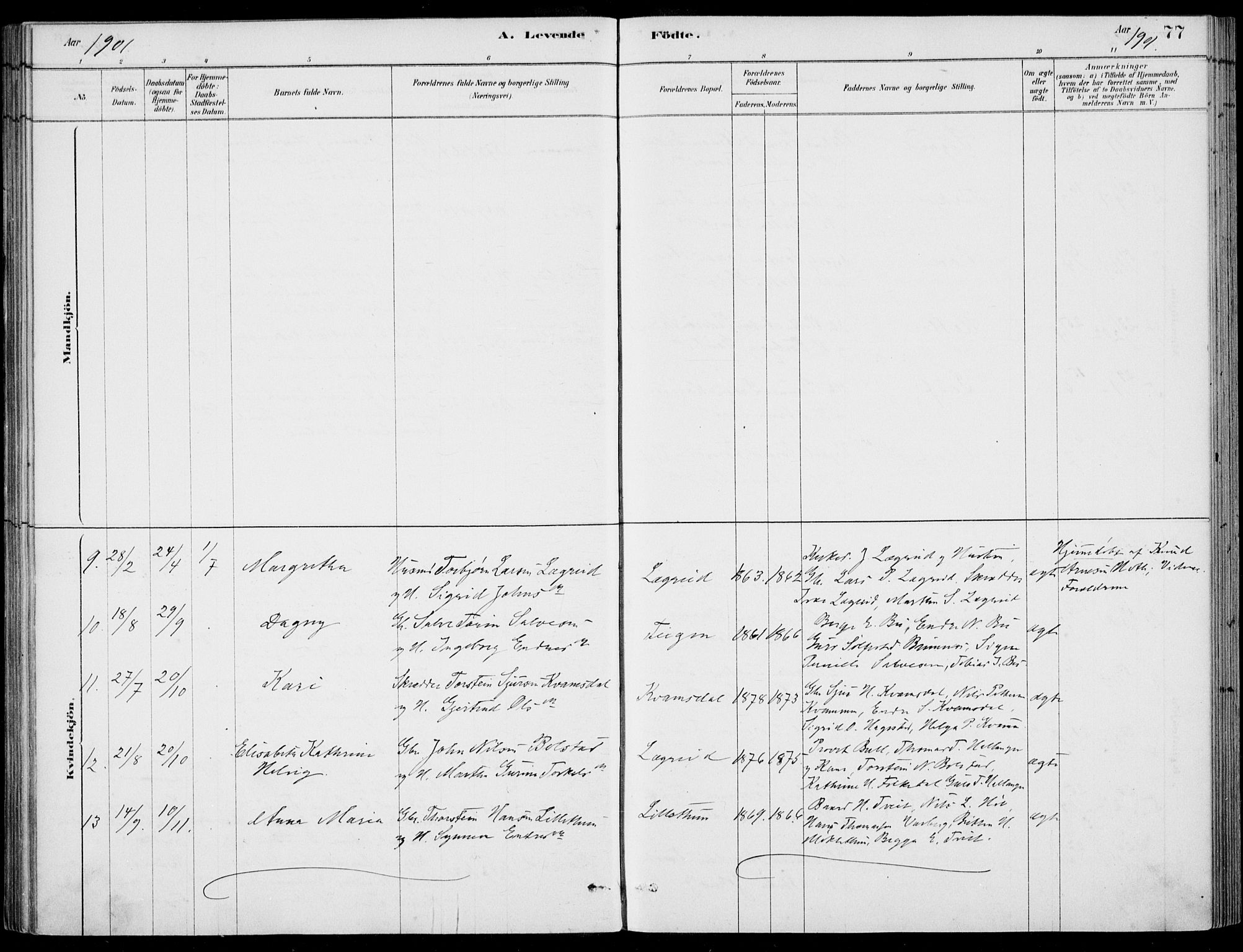 Ulvik sokneprestembete, SAB/A-78801/H/Haa: Parish register (official) no. D  1, 1878-1903, p. 77