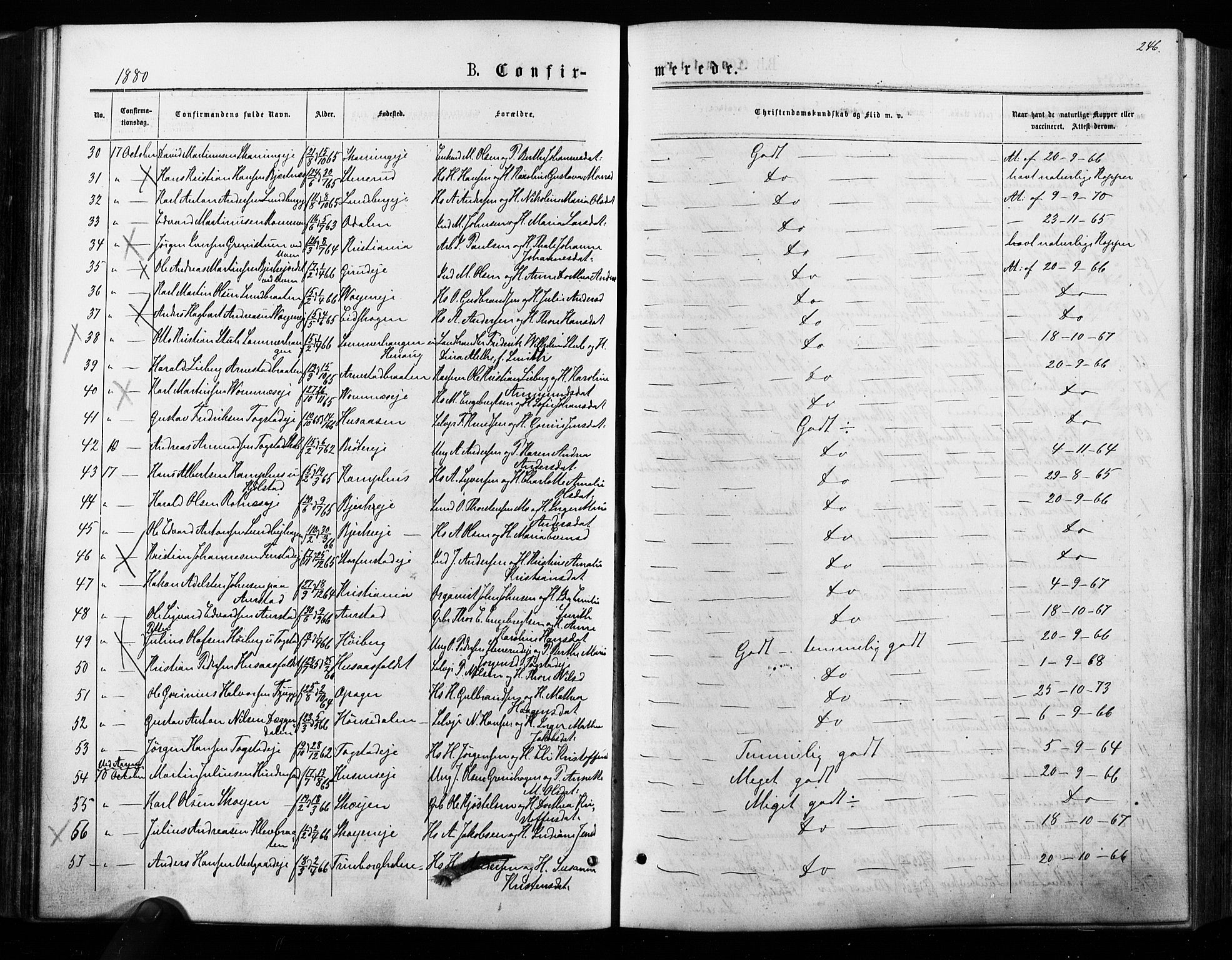 Nes prestekontor Kirkebøker, AV/SAO-A-10410/F/Fa/L0009: Parish register (official) no. I 9, 1875-1882, p. 246