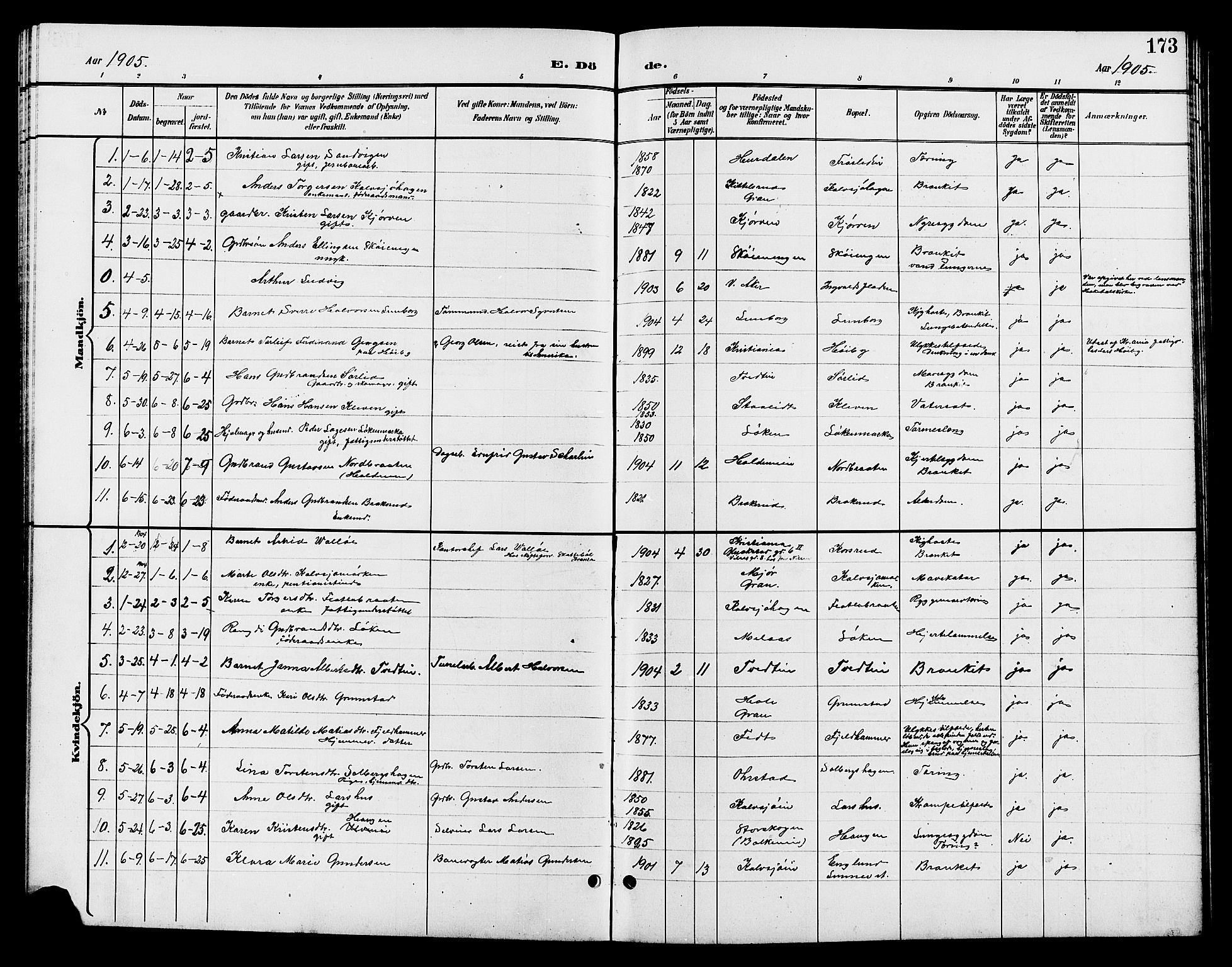 Jevnaker prestekontor, SAH/PREST-116/H/Ha/Hab/L0003: Parish register (copy) no. 3, 1896-1909, p. 173