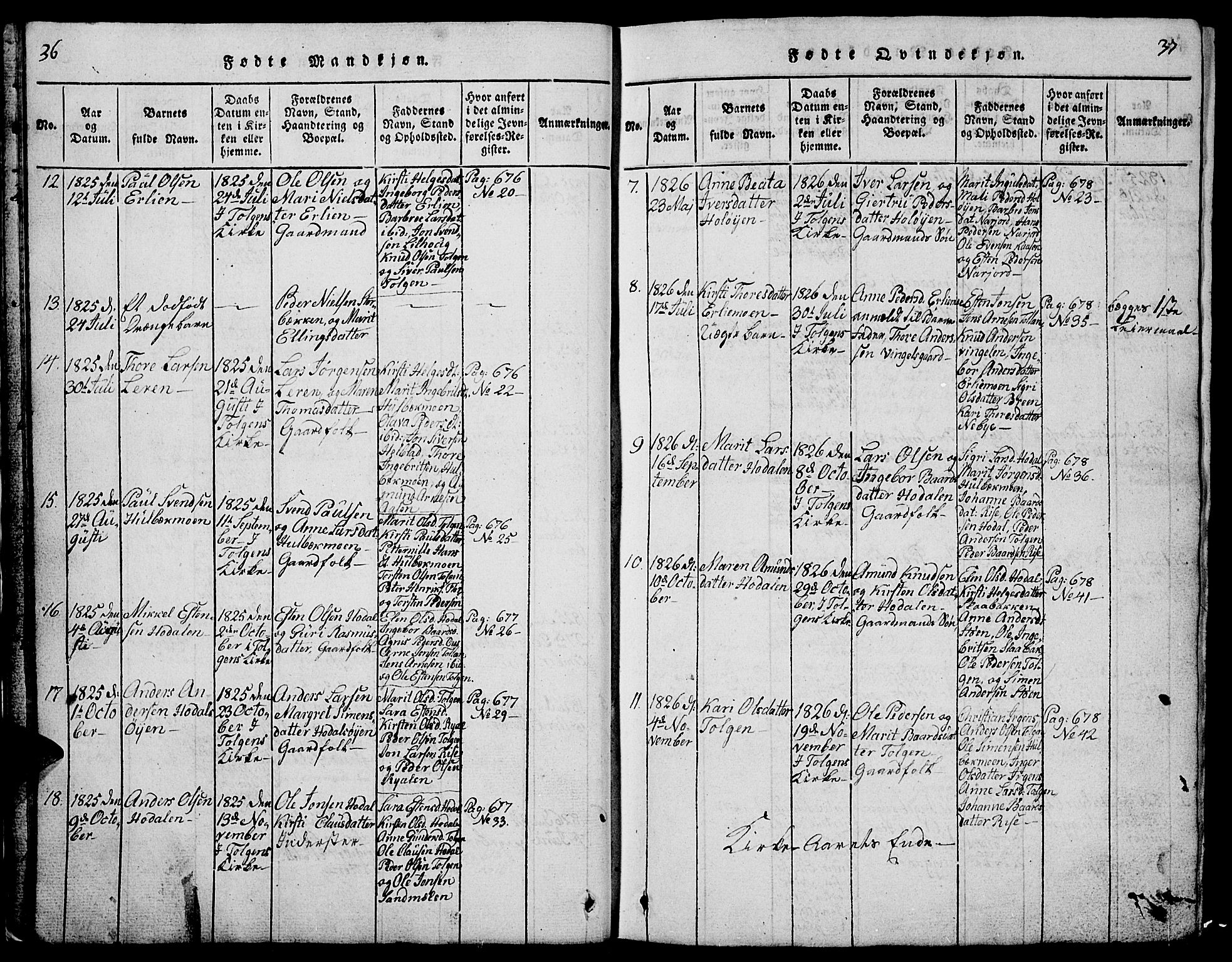 Tolga prestekontor, AV/SAH-PREST-062/L/L0001: Parish register (copy) no. 1, 1814-1877, p. 36-37