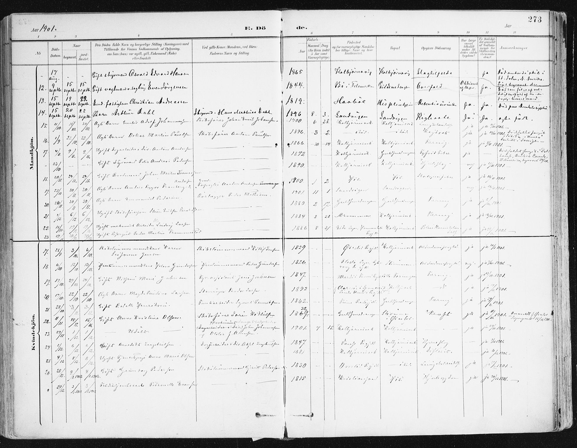 Hisøy sokneprestkontor, SAK/1111-0020/F/Fa/L0004: Parish register (official) no. A 4, 1895-1917, p. 273