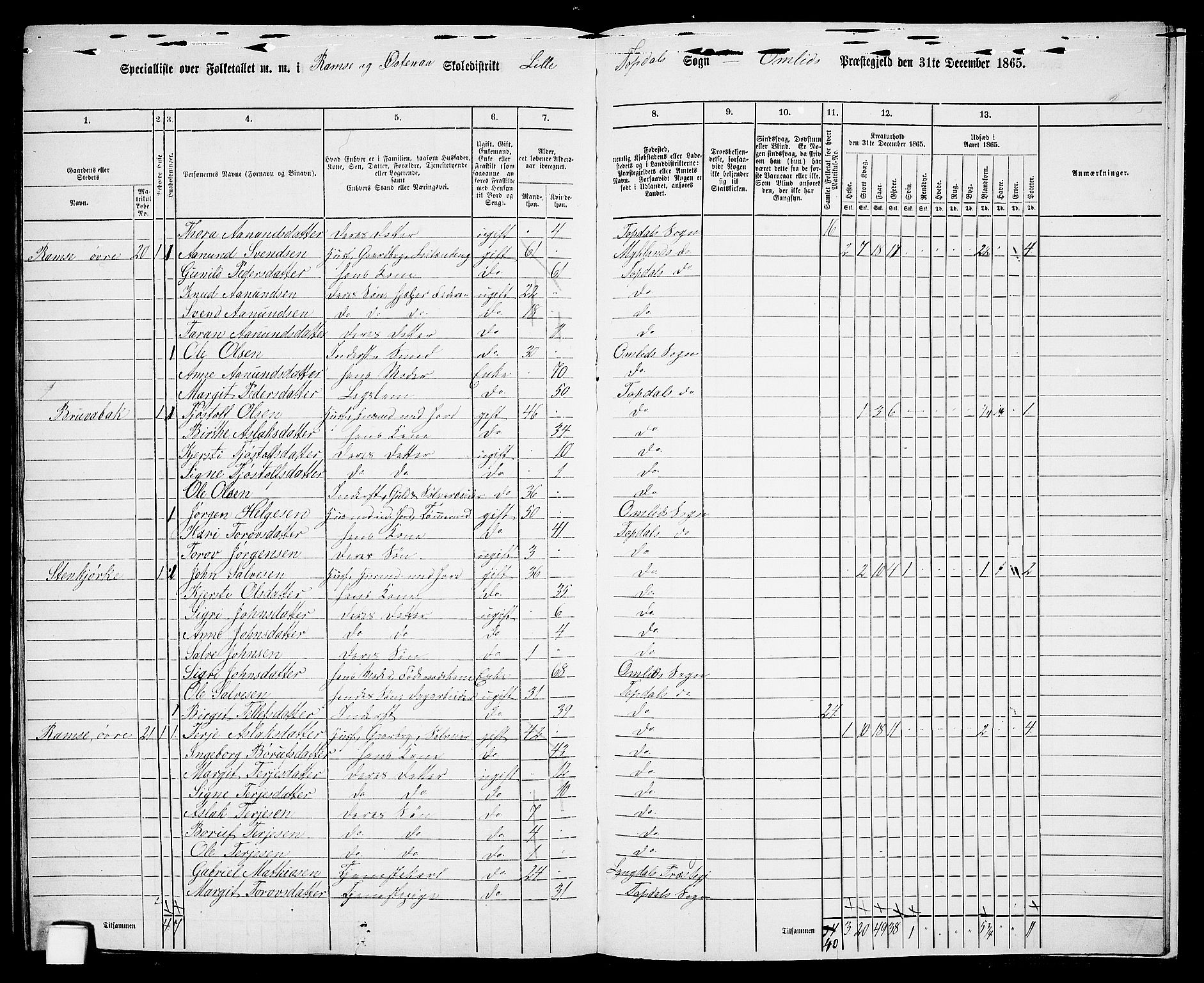 RA, 1865 census for Åmli, 1865, p. 117