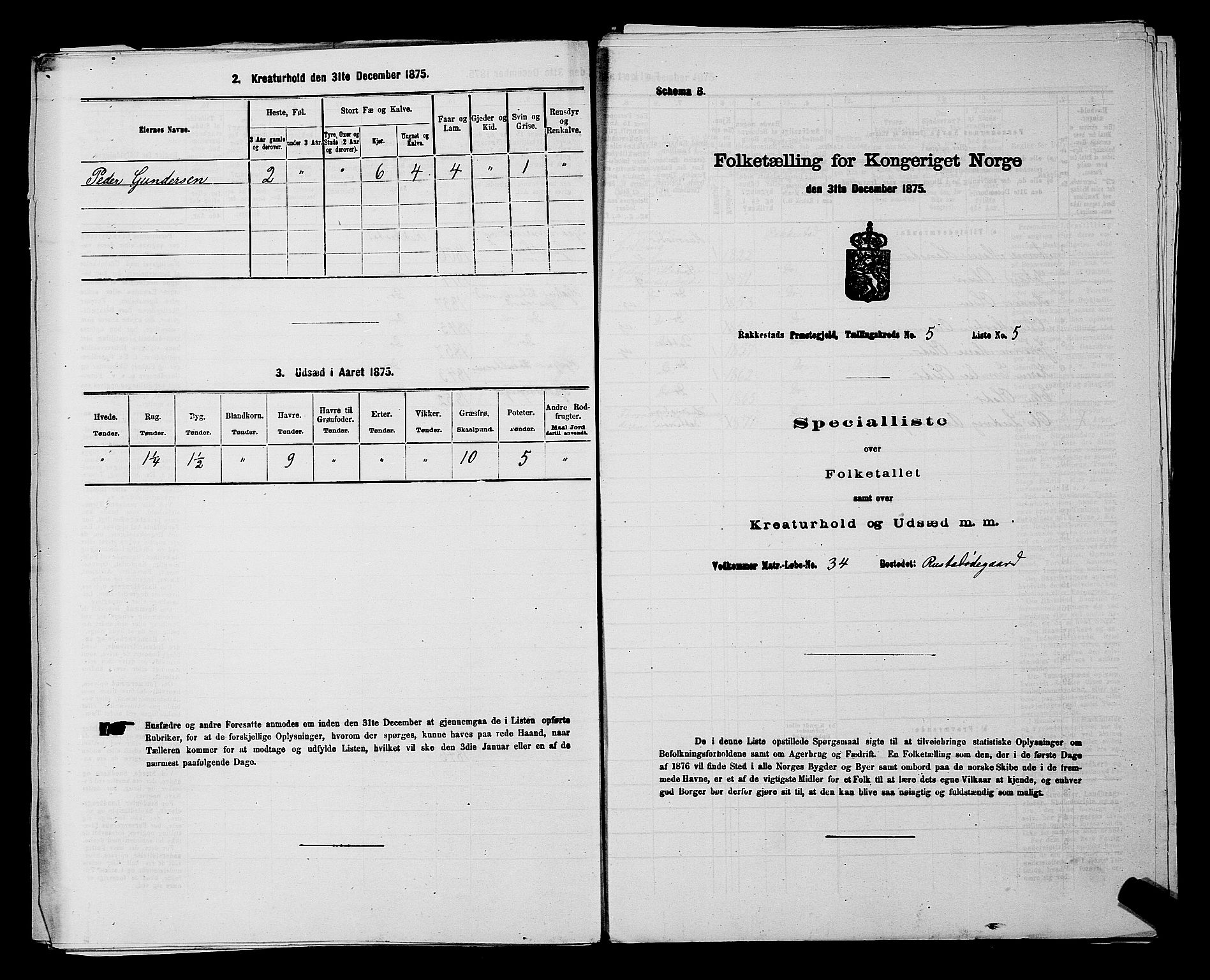 RA, 1875 census for 0128P Rakkestad, 1875, p. 619