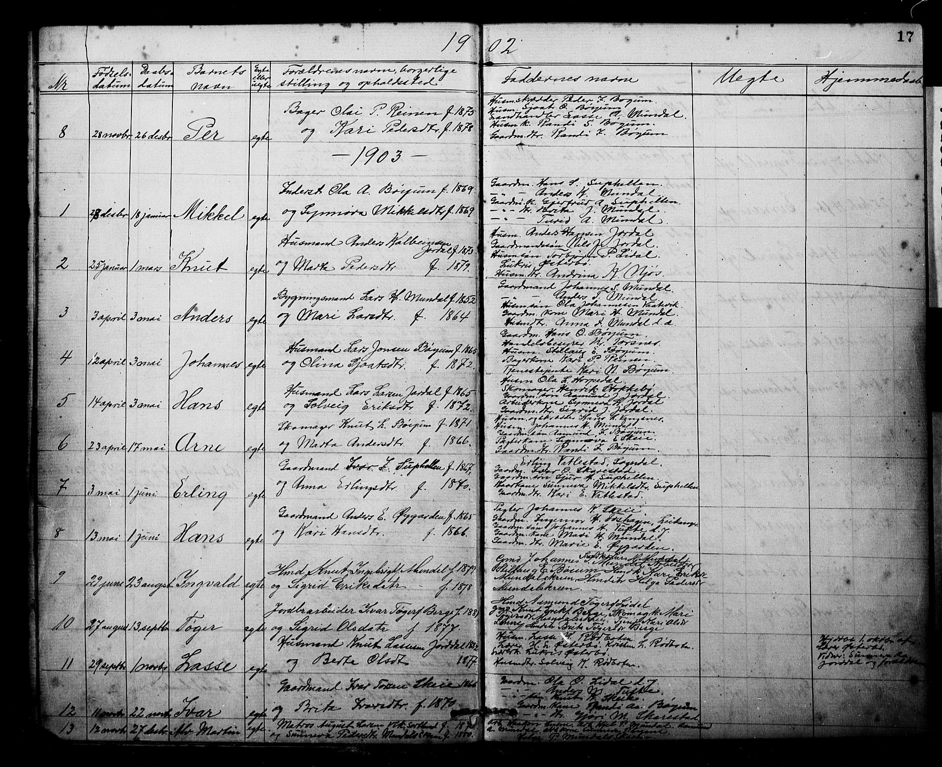Balestrand sokneprestembete, SAB/A-79601: Parish register (copy) no. B 1A, 1880-1916, p. 17