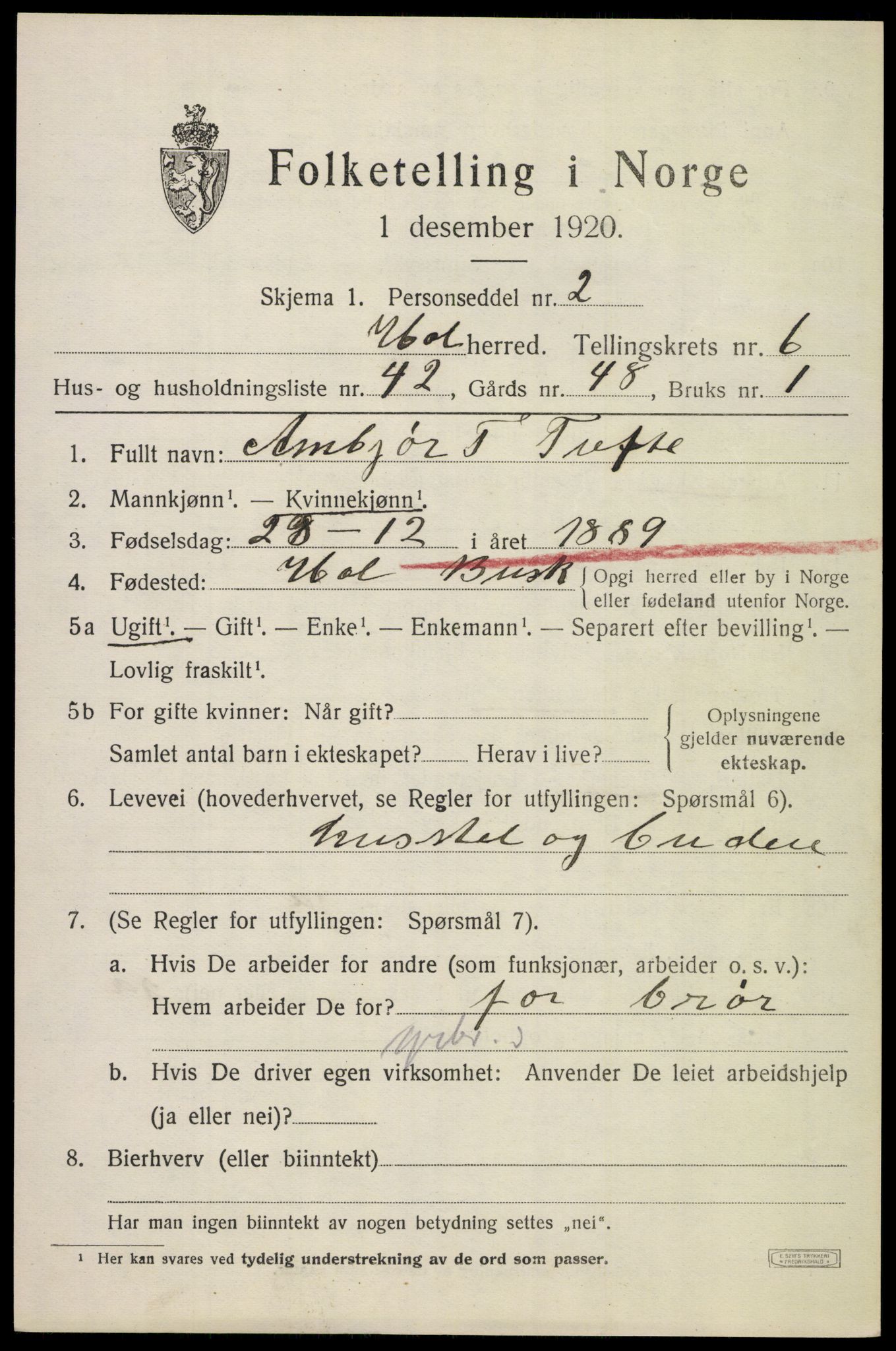 SAKO, 1920 census for Hol (Buskerud), 1920, p. 3499