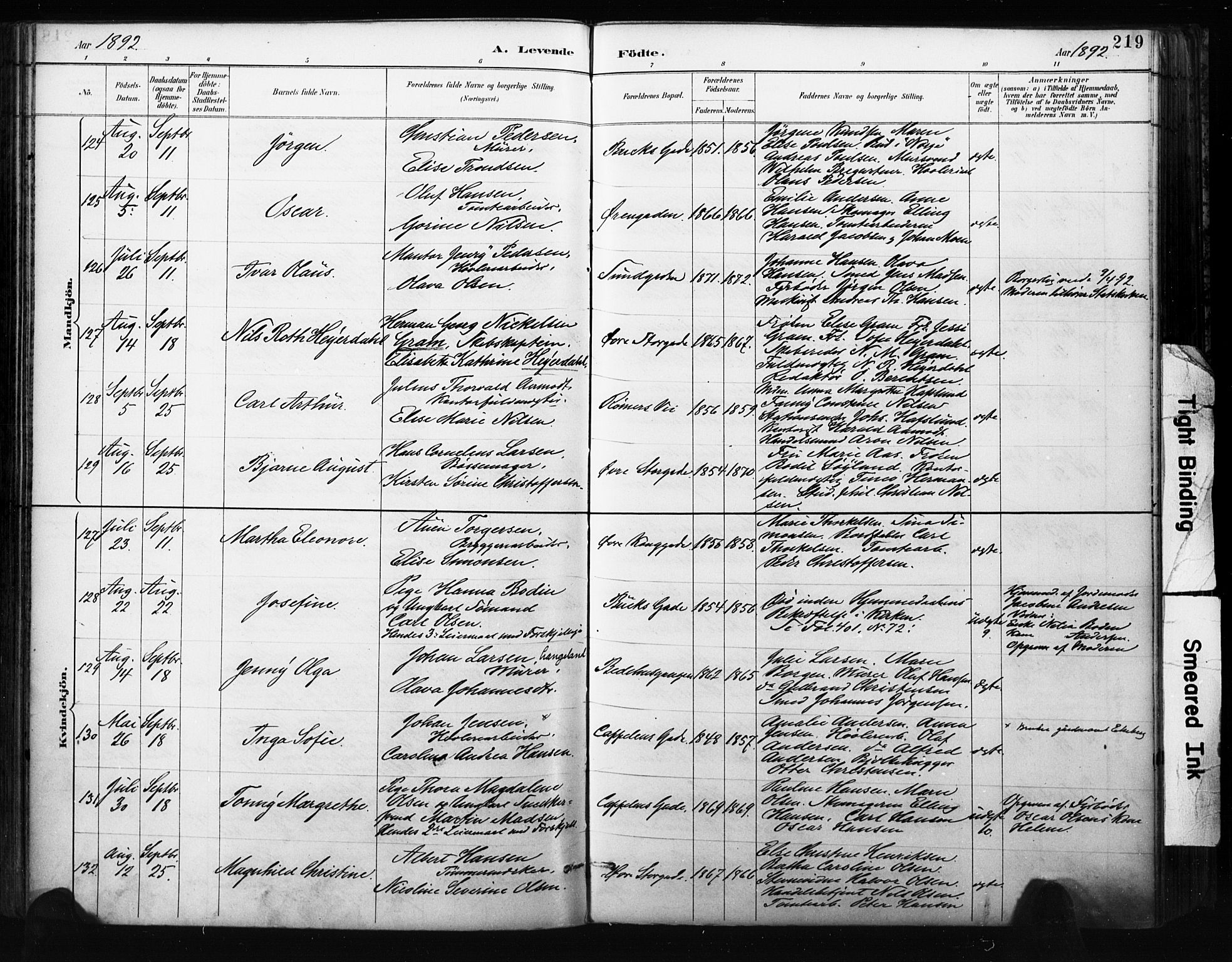 Bragernes kirkebøker, AV/SAKO-A-6/F/Fb/L0007: Parish register (official) no. II 7, 1885-1893, p. 219