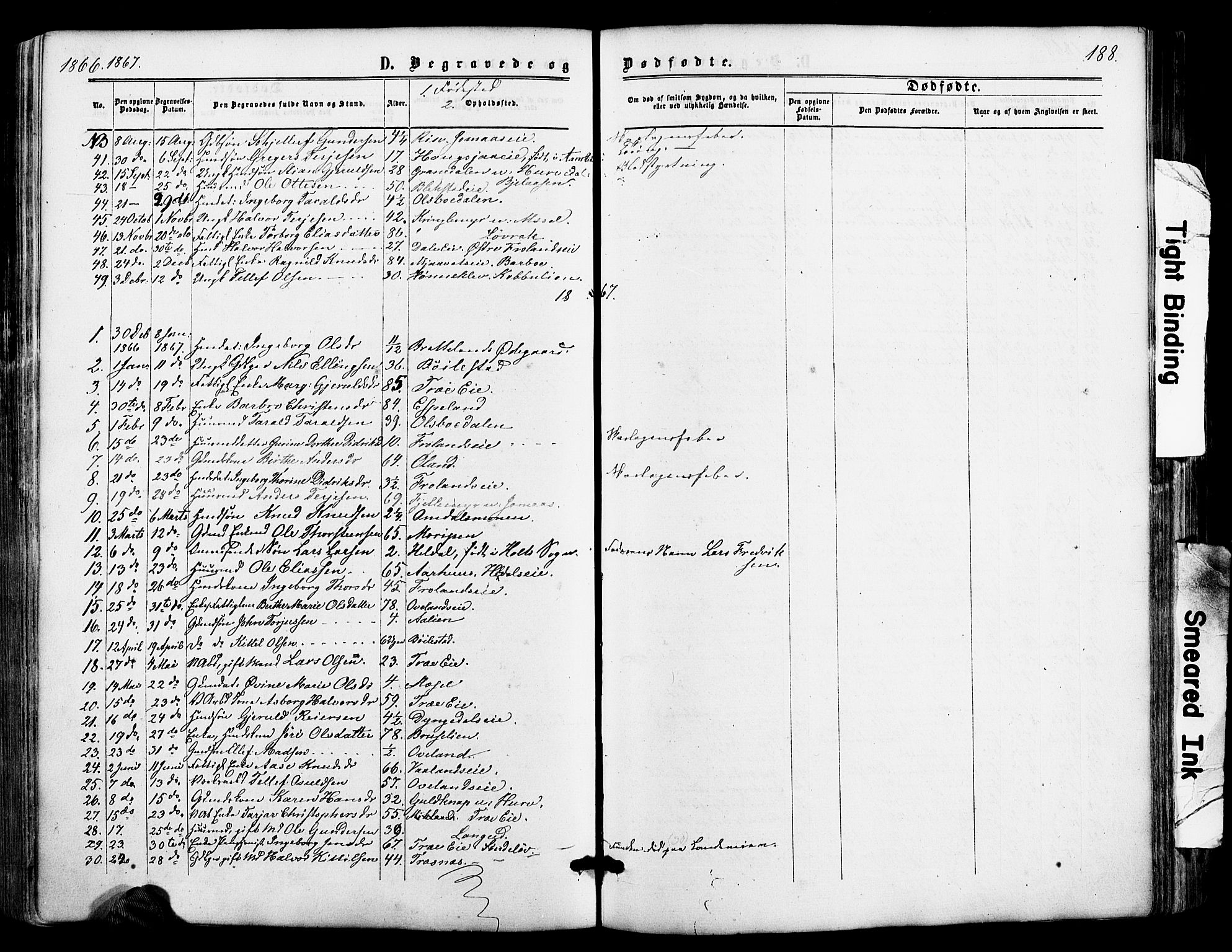 Froland sokneprestkontor, AV/SAK-1111-0013/F/Fa/L0003: Parish register (official) no. A 3, 1864-1881, p. 188