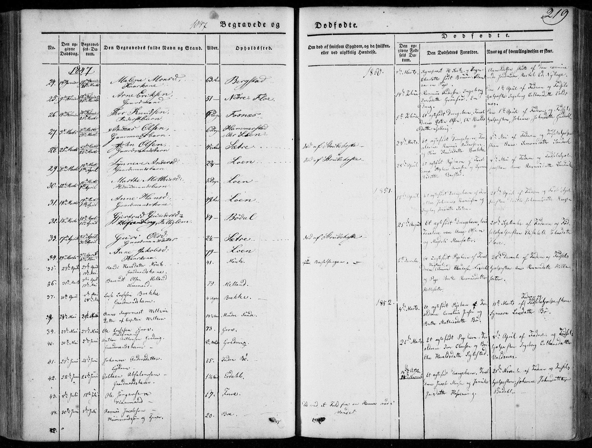 Stryn Sokneprestembete, SAB/A-82501: Parish register (official) no. A 2, 1844-1861, p. 219